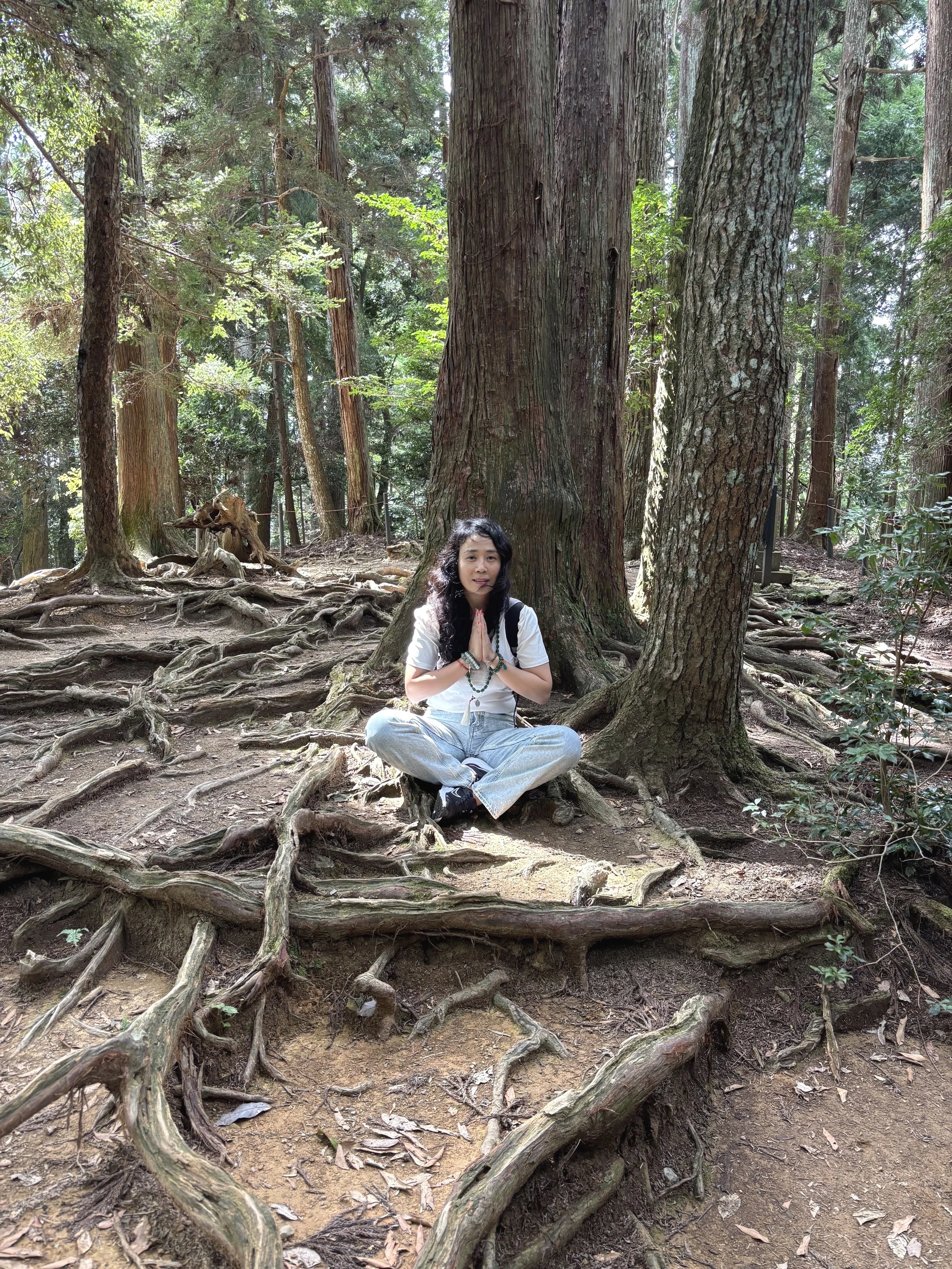 A woman sitting cross-legged in a meditation pose with hands pressed together, seated on exposed tree roots in a dense forest with tall trees and green foliage.
