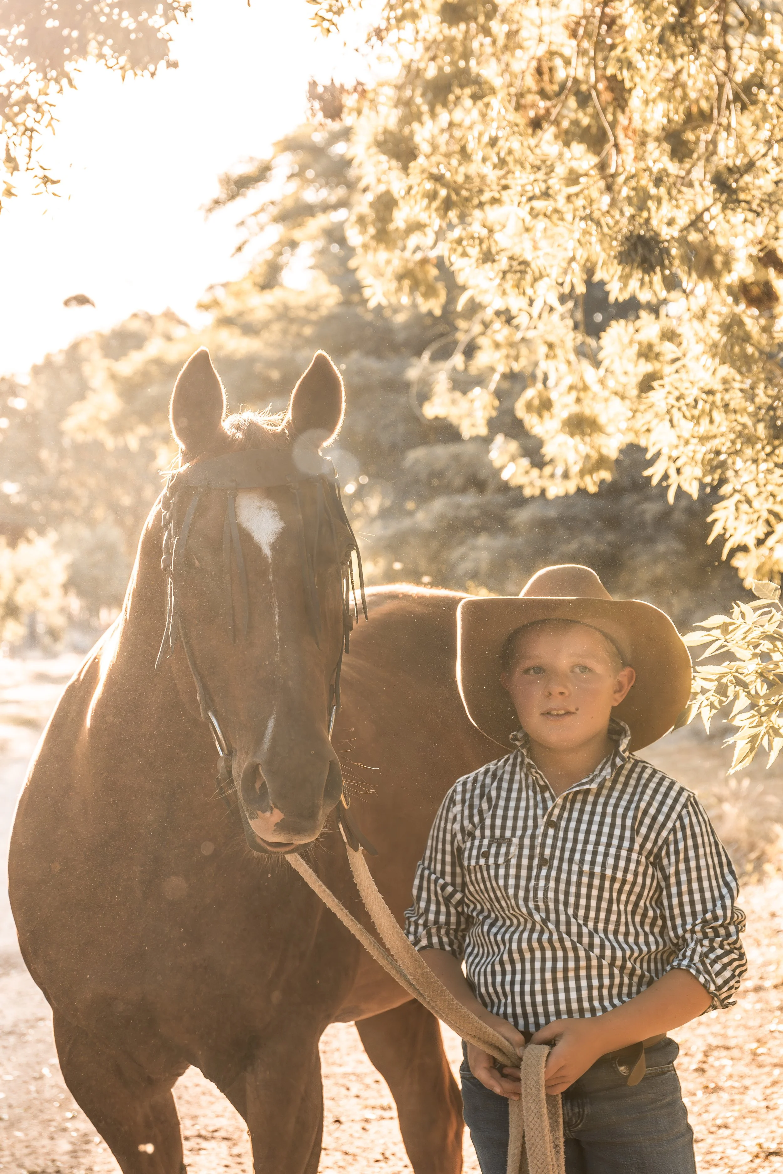 a boy standing beside his chestnut horse in the sunlight