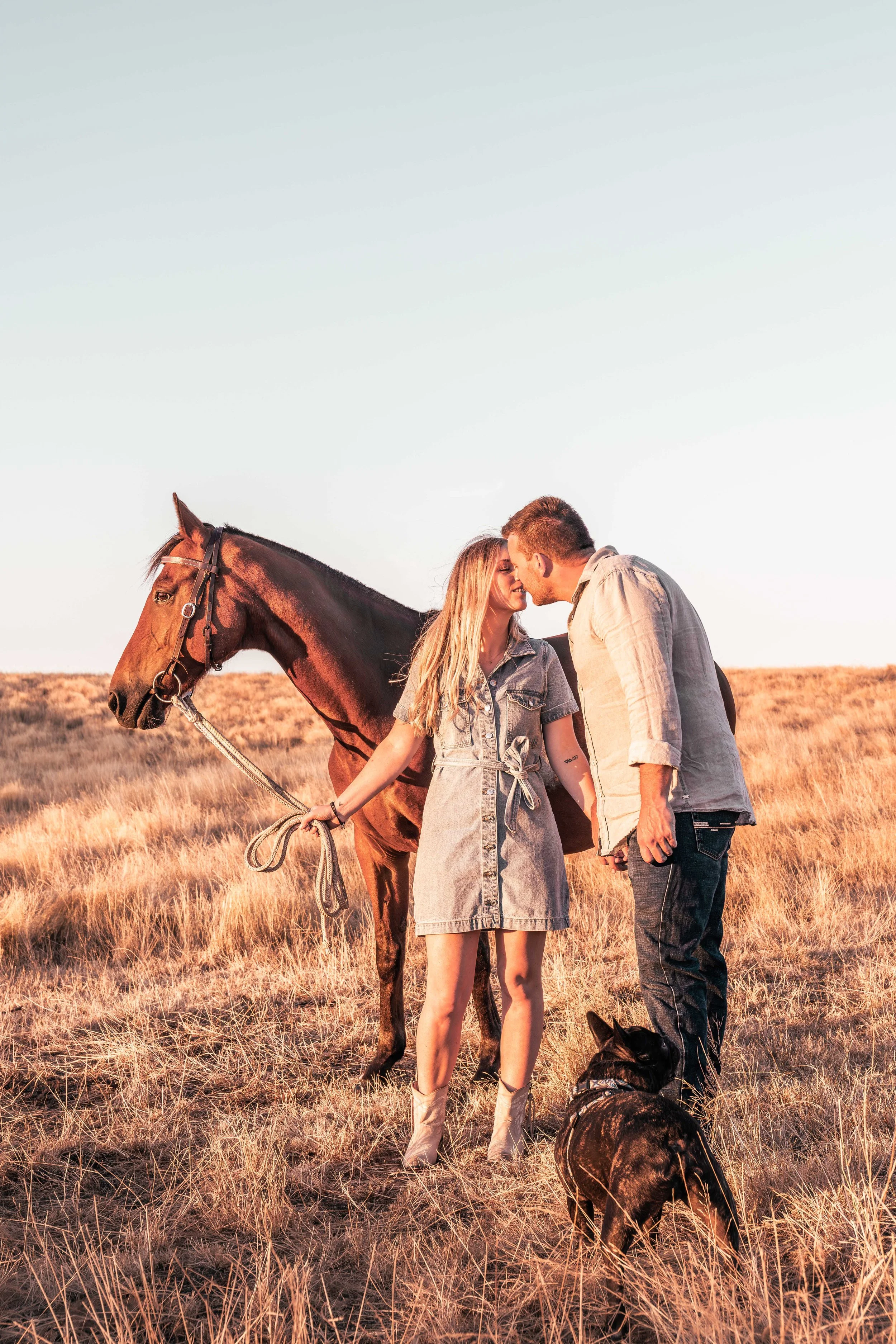 Photo of bay stock horse ibeing held by a woman in a denim dress holding hands and kissing her male partner inthe golden sunlight