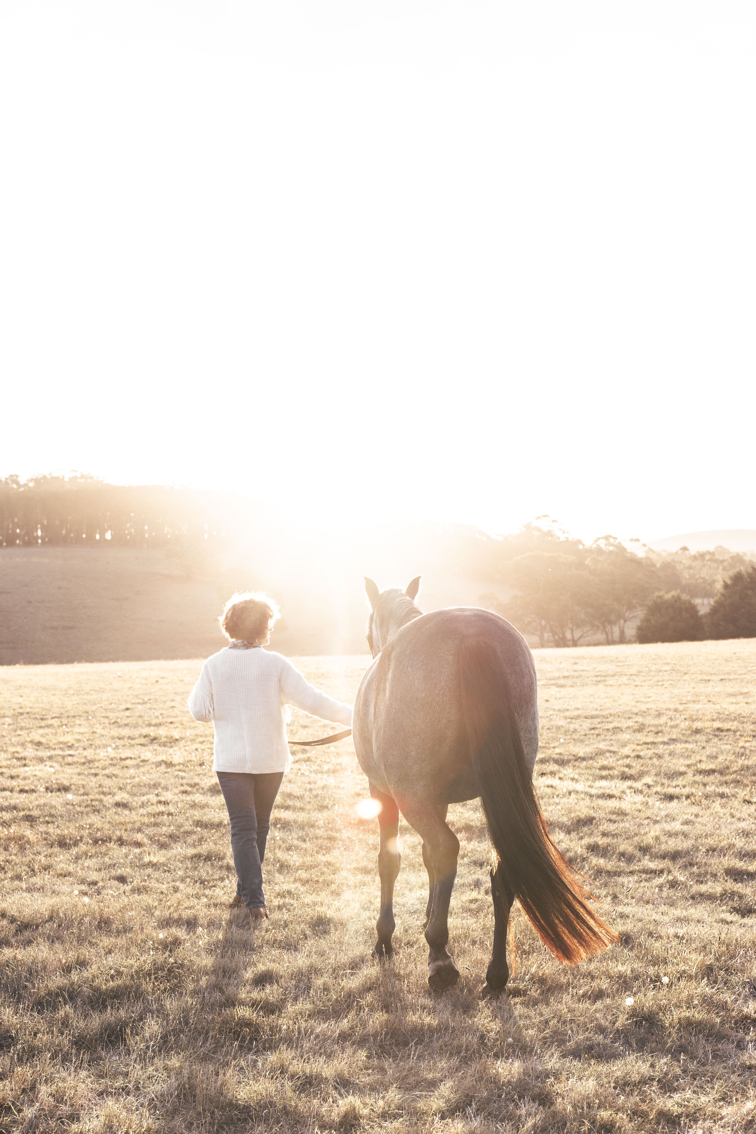 72A6968 (1 of 1).jpg