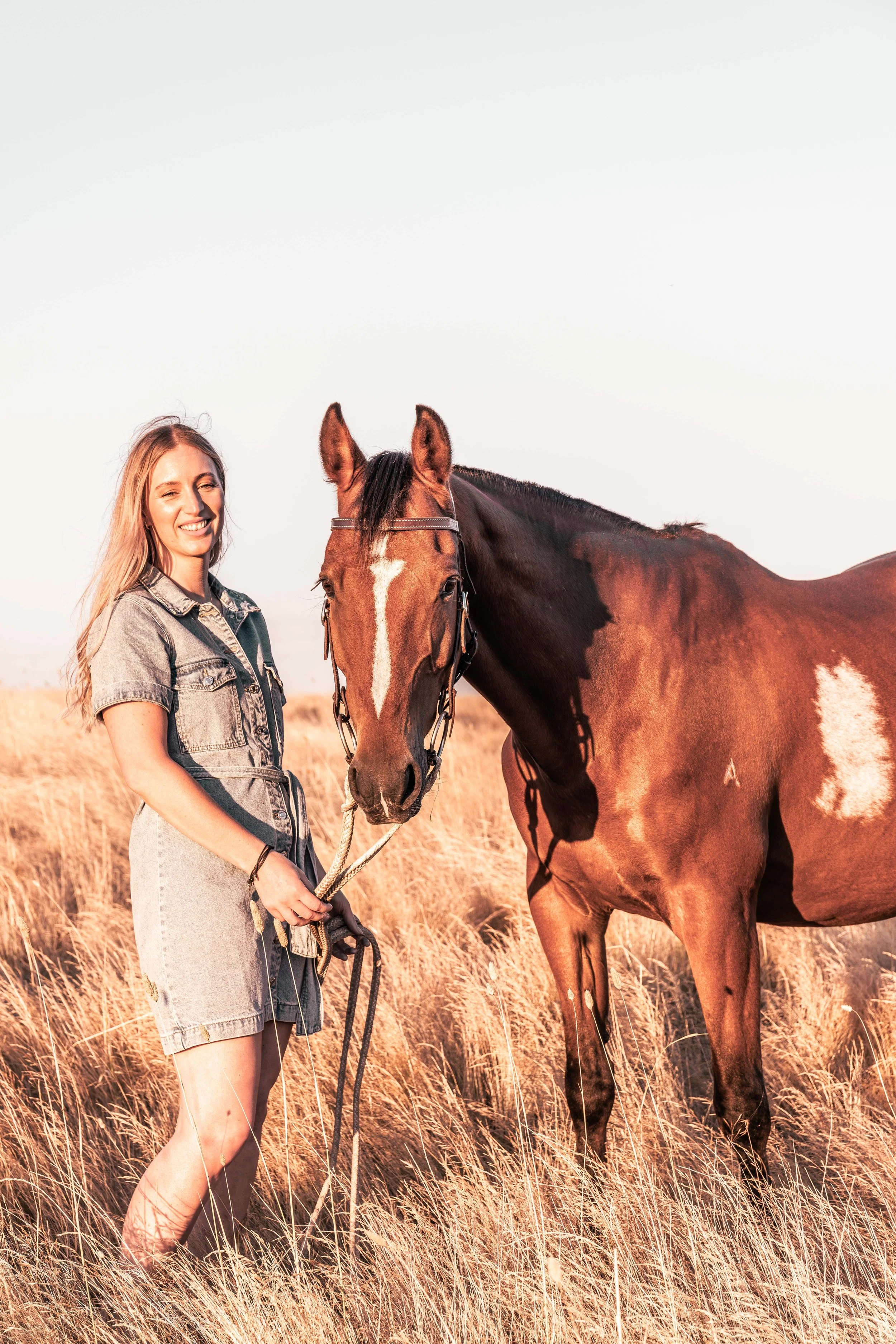 Photo of a woman holding her bay stockhorse in a paddock lit up by golden sunlight