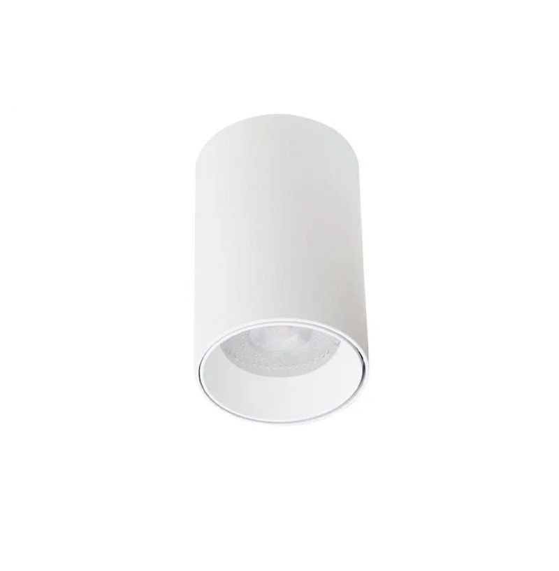 4224900 Ceiling Spotlight White Stage