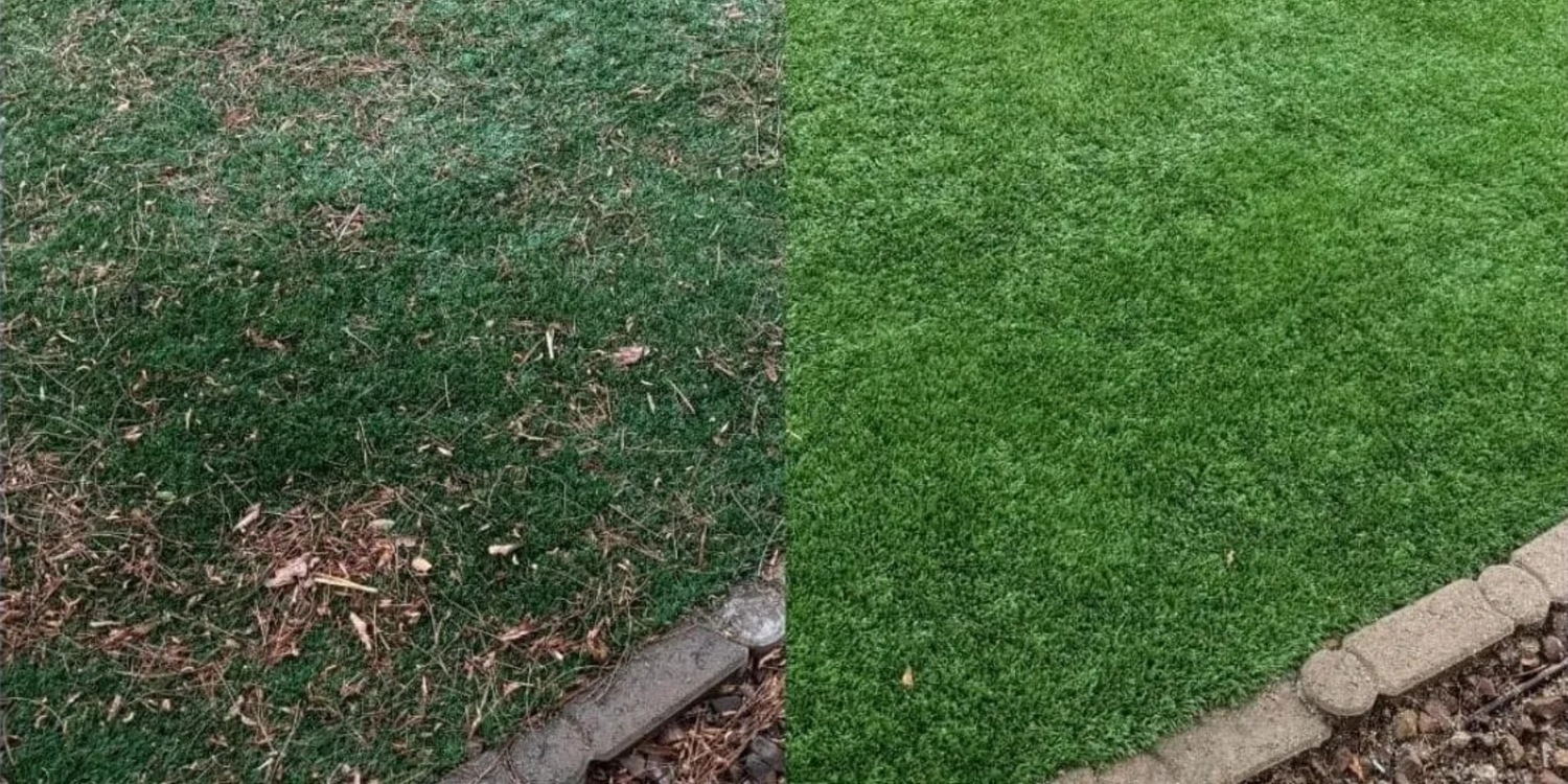 Before and after artificial turf cleaning in San Marcos, CA, Full Reset package, 750 sq ft