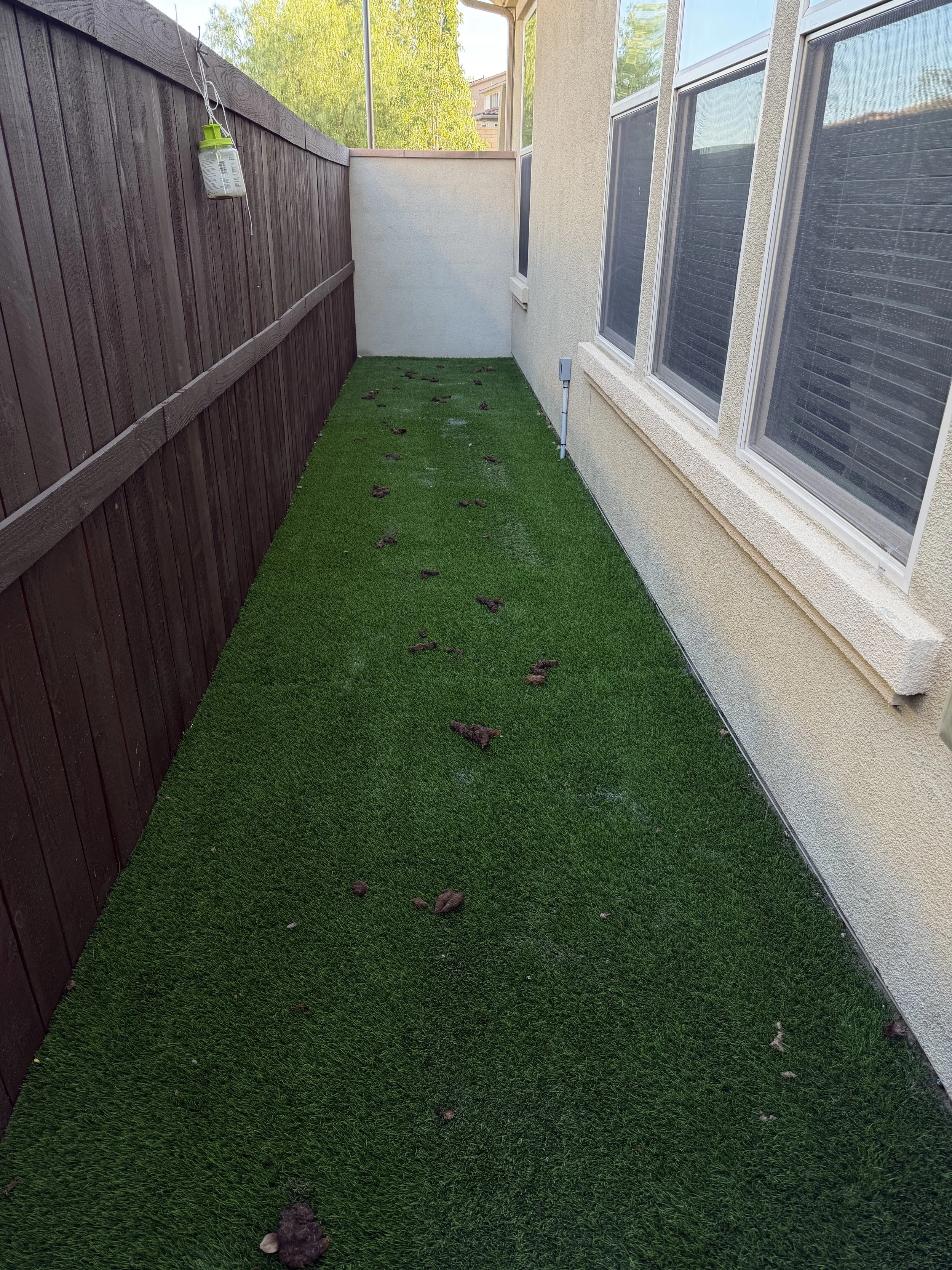 Photo of a small backyard patio with artificial grass, scattered with brown animal droppings, adjacent to a house with large windows and a wooden fence on the left side.