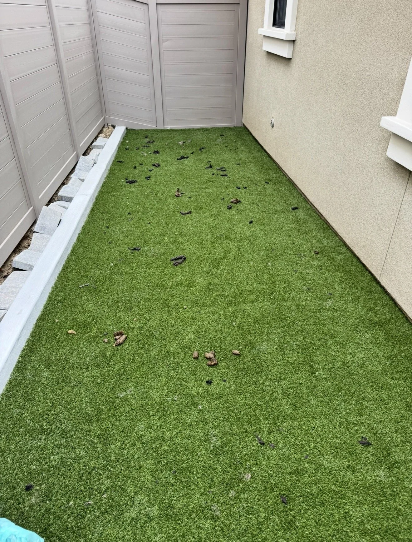 Backyard with artificial grass, small rocks, and animal droppings, surrounded by a beige house wall and a beige privacy fence.