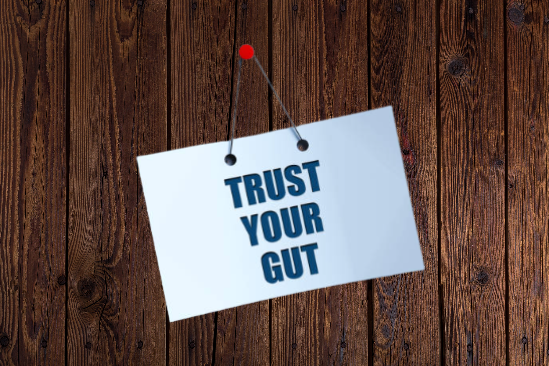 How Your Gut Health Affects Your Mental Health, and What You Can Do About It