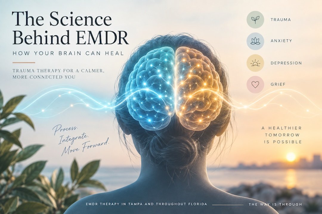 The Science Behind EMDR: How Does EMDR Therapy Work?