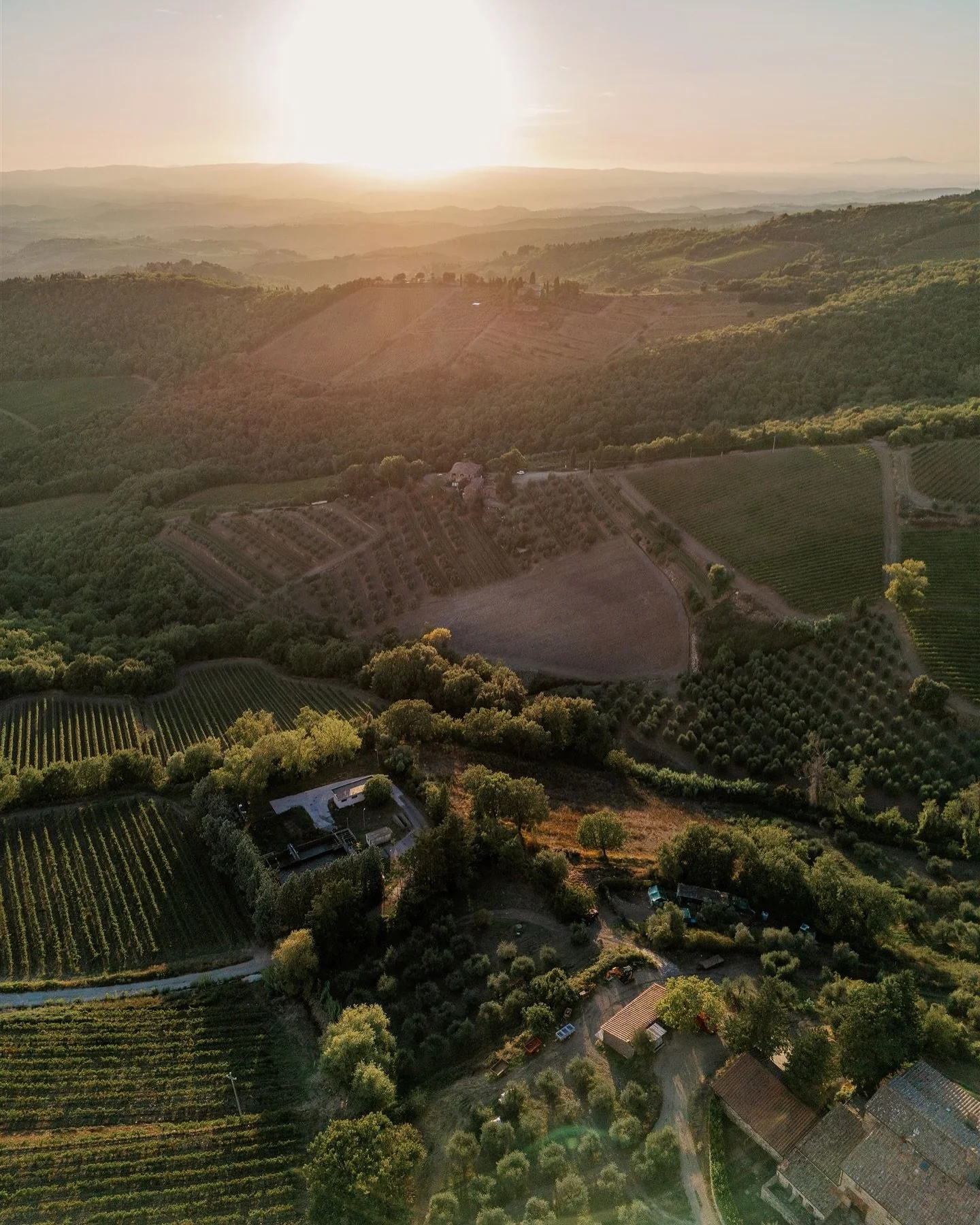 Querceto di Castellina (Toscana) at A16 Rockridge