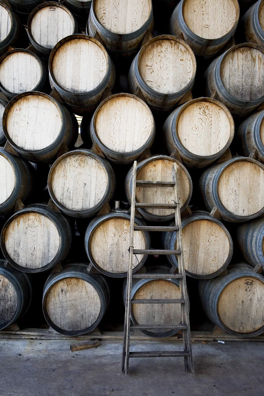 An Italian Wine Experience on the Mendocino Coast