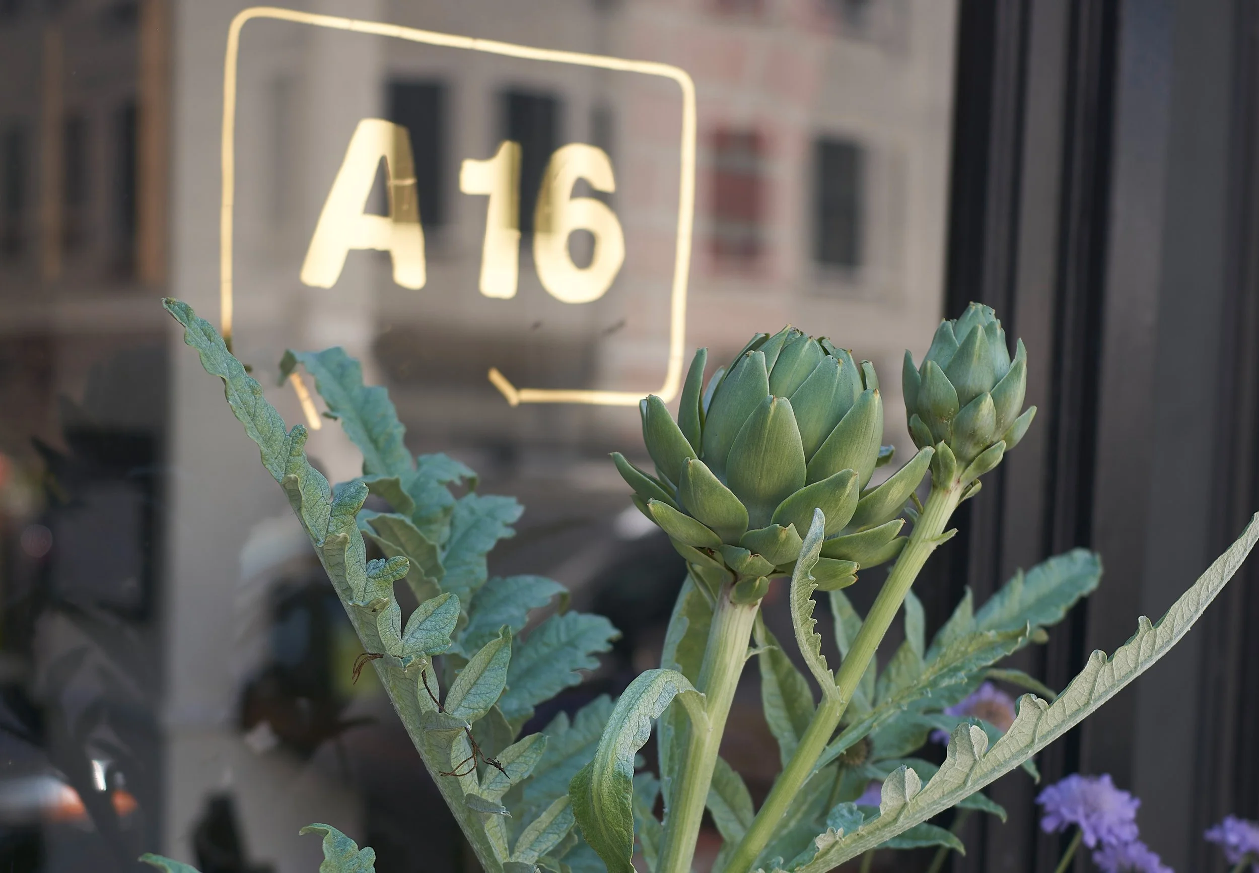 San Francisco Restaurant Week is back