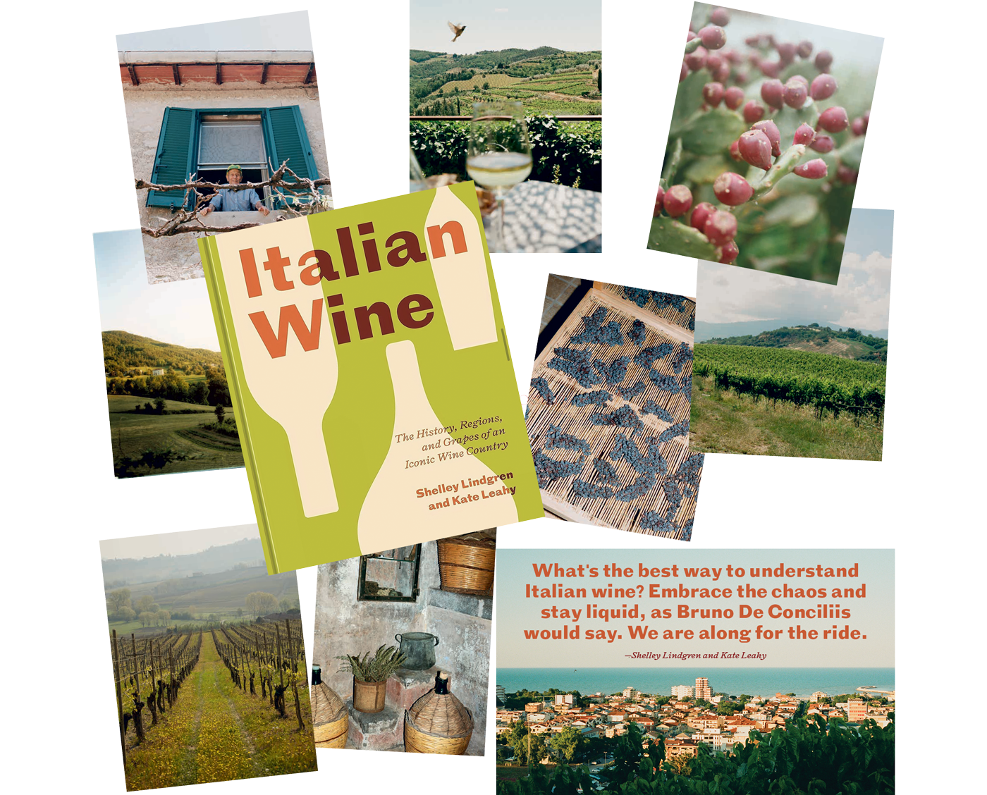 A16-Italian-Wine-book.png