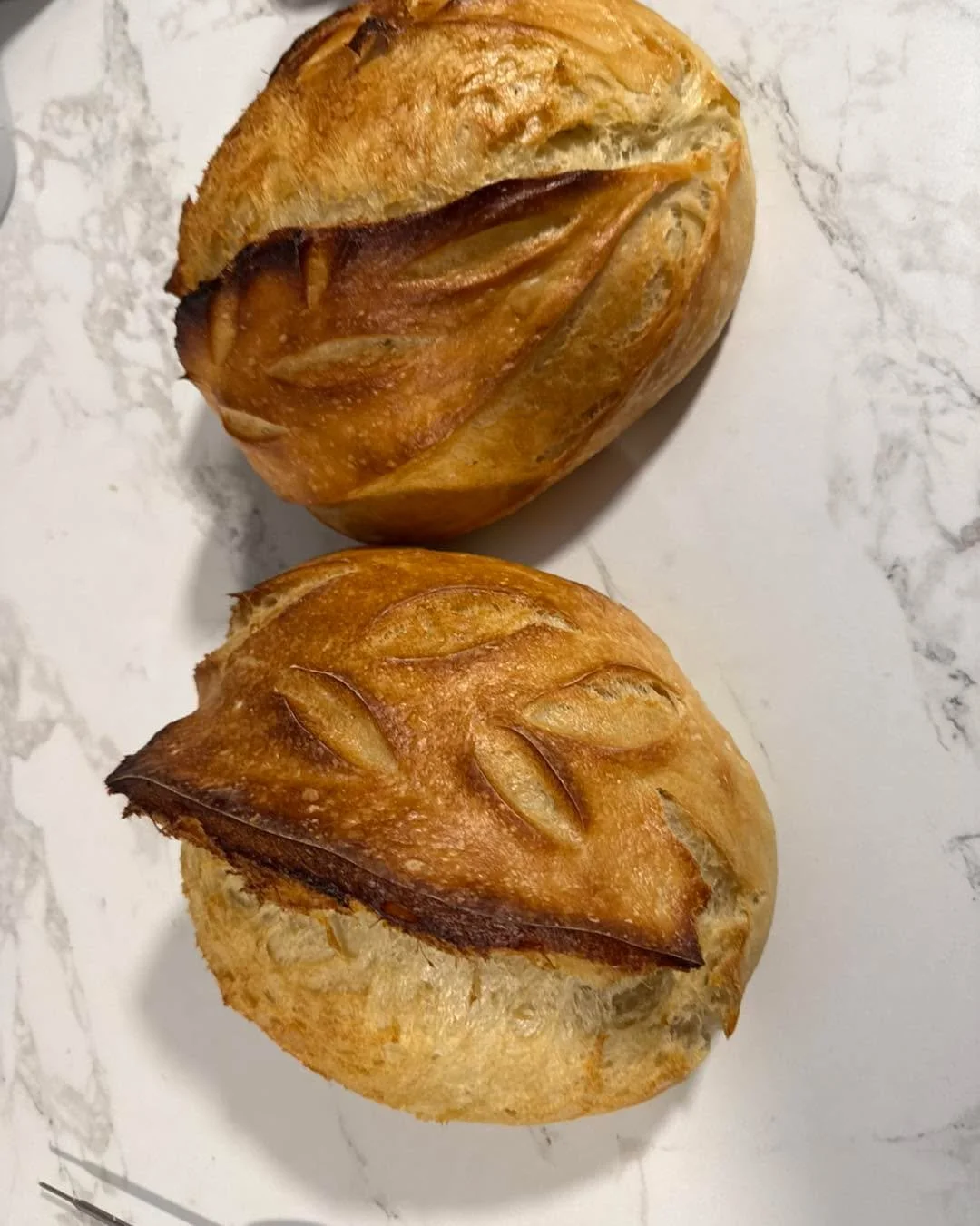 The oven has been busy! Nothing like the smell of hot sourdough and fresh baked sourdough cinnamon rolls with monkfruit sugar and sourdough payday inspired cinnamon rolls for a special friend going through chemo. 
Happy to see the sun out today! #sou