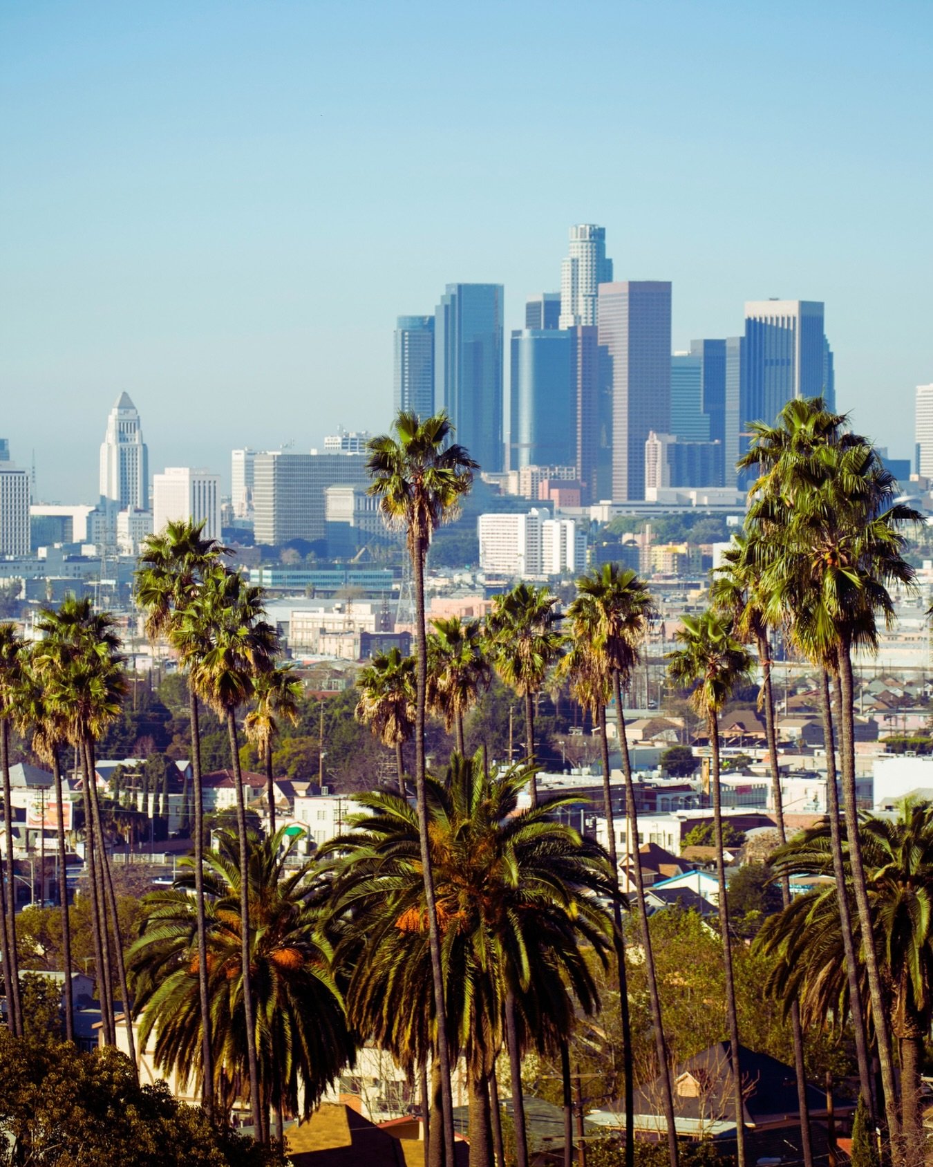 L.A. DNA
&zwnj;
&zwnj;
West of Ordinary
The latest in fashion, beauty curated interviews, and trend reports at sablewest.com
&zwnj;
#sablewest #losangeles #cityscape #travel #modern #magazine #editorial
&zwnj;
&zwnj;