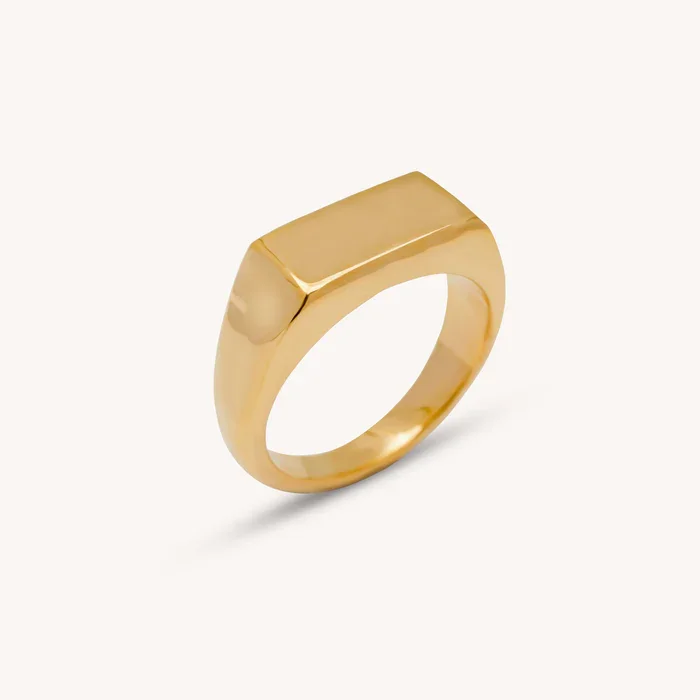 PERERENAN RING NAUT AND CHAIN SABLE WEST JEWELRY.webp