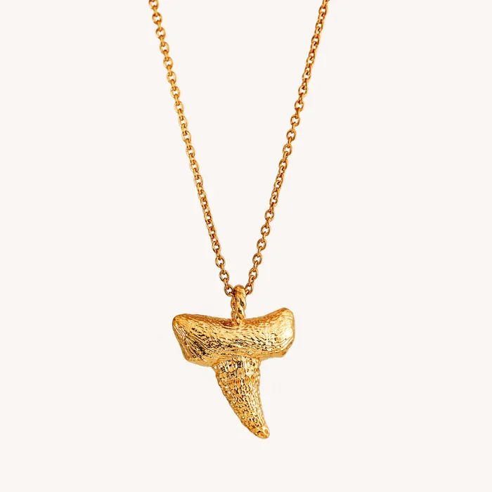 SHARK TOOTH NECKLACE NAUT AND CHAIN SABLE WEST JEWELRY.webp