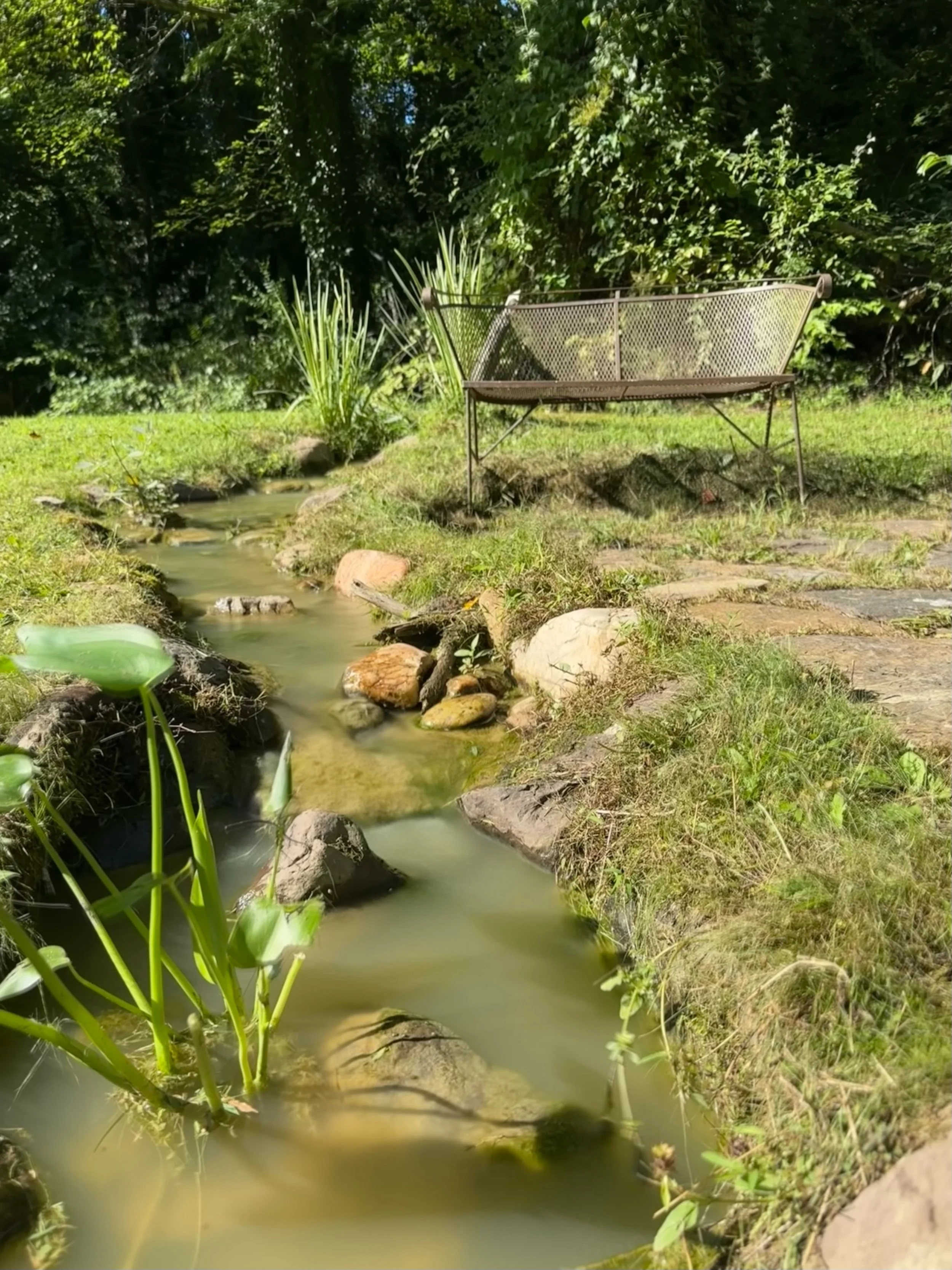 20' Stream (Earthen Pond) Chesapeake City, Maryland
