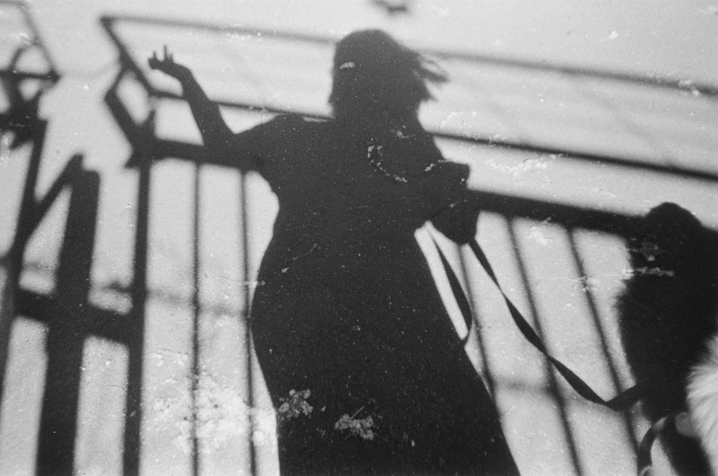 The Inheritance of Shadows