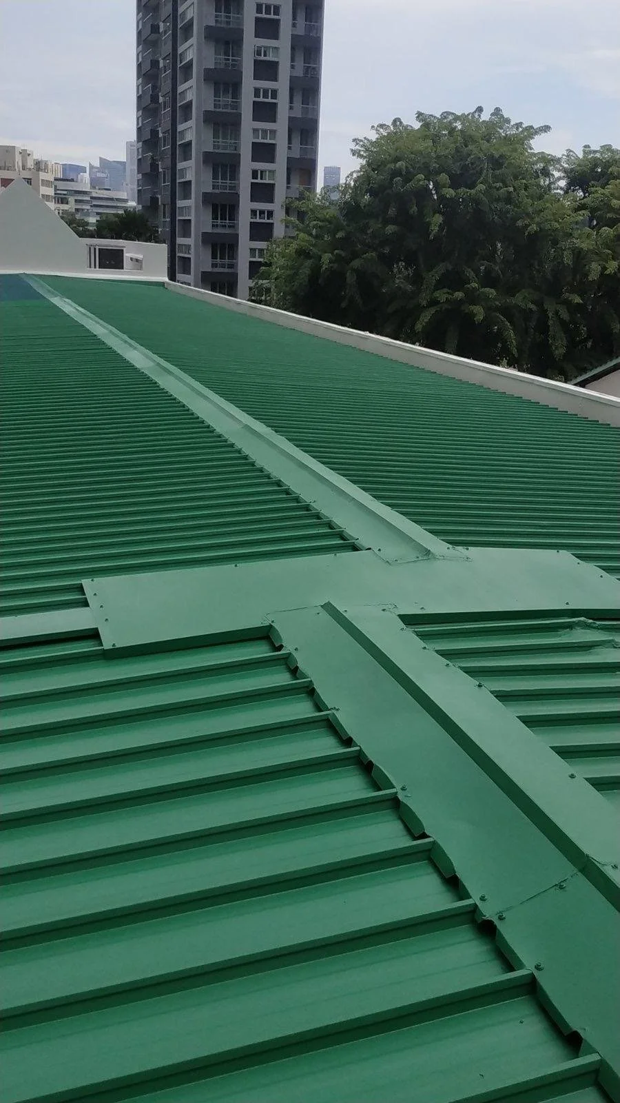 landed roof after .jpg