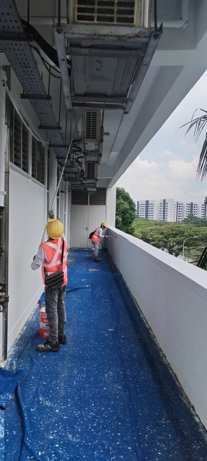 cc building process .jpg