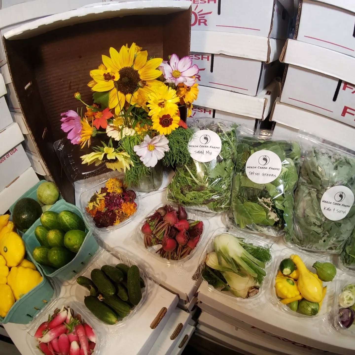 NOW AVAILABLE FOR PREORDER
Join our 2023 Vegetable Box & Flower Bouquet Subscriptions!
Visit www.Heroncreekfarms.com to learn more.