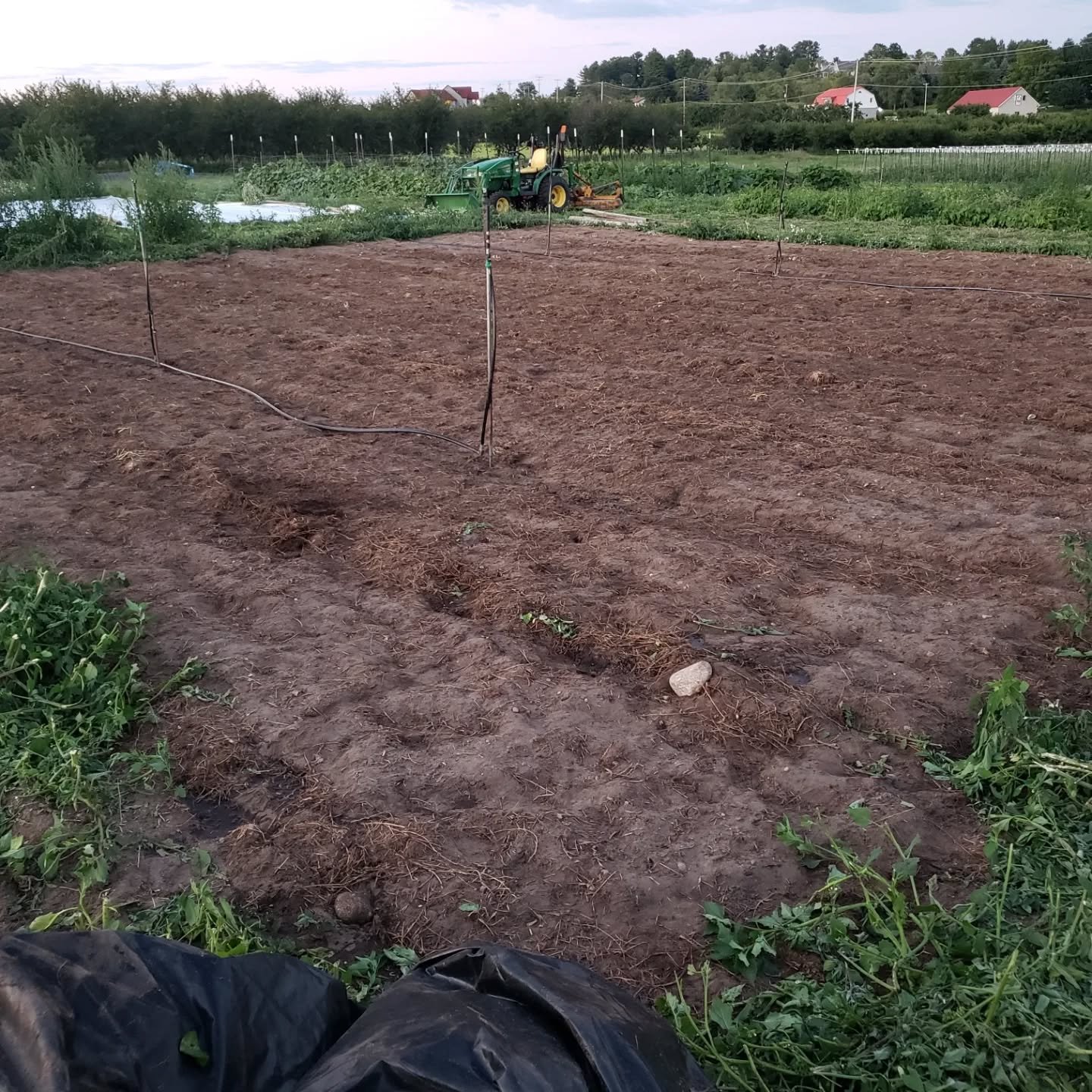 Tarping soils and woven ground covers can be a great way to manage weeds in combination with your other sterile seed bedding techniques.