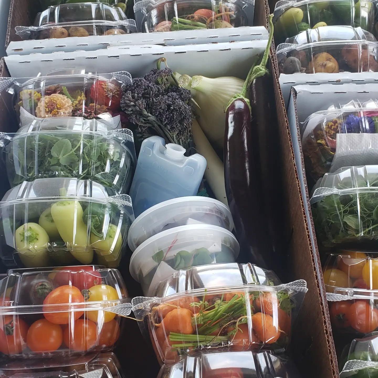 Getting ready to launch our 2023 Produce Box & Bouquet Subscription! Here are some key moments from our 2022 growing season on Old Mission Peninsula. Signup for this season will begin February 1st at heroncreekfarms.com