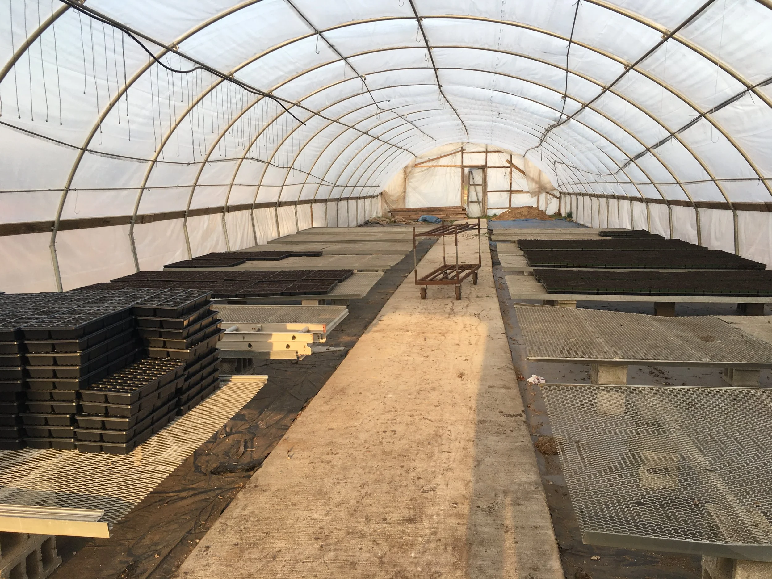 Interior of an empty greenhouse with seed trays and metal tables for planting.