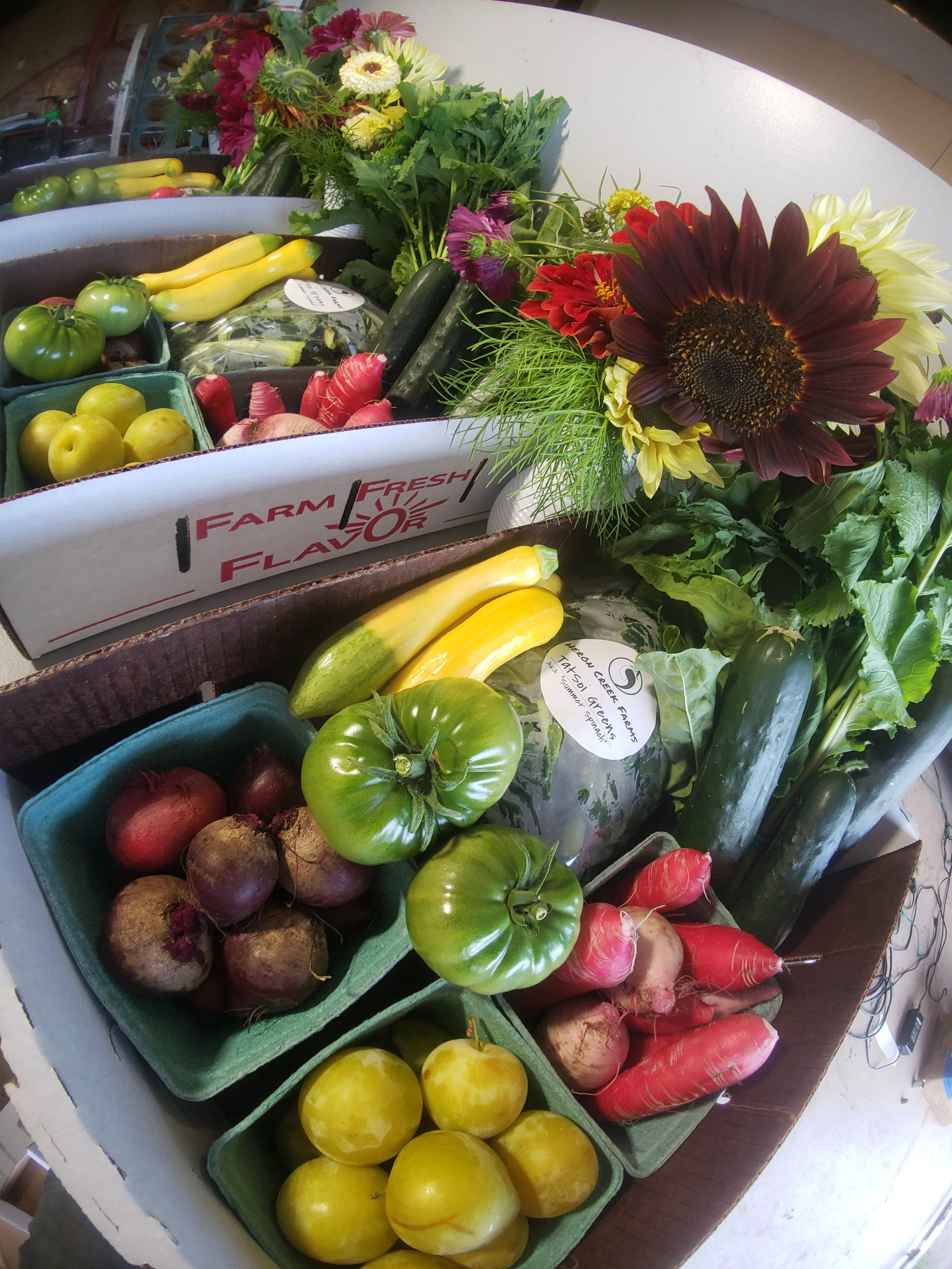 Assorted fresh vegetables and fruits in baskets, including green tomatoes, yellow squash, cucumbers, radishes, beets, and plums, with mixed flowers on the side.