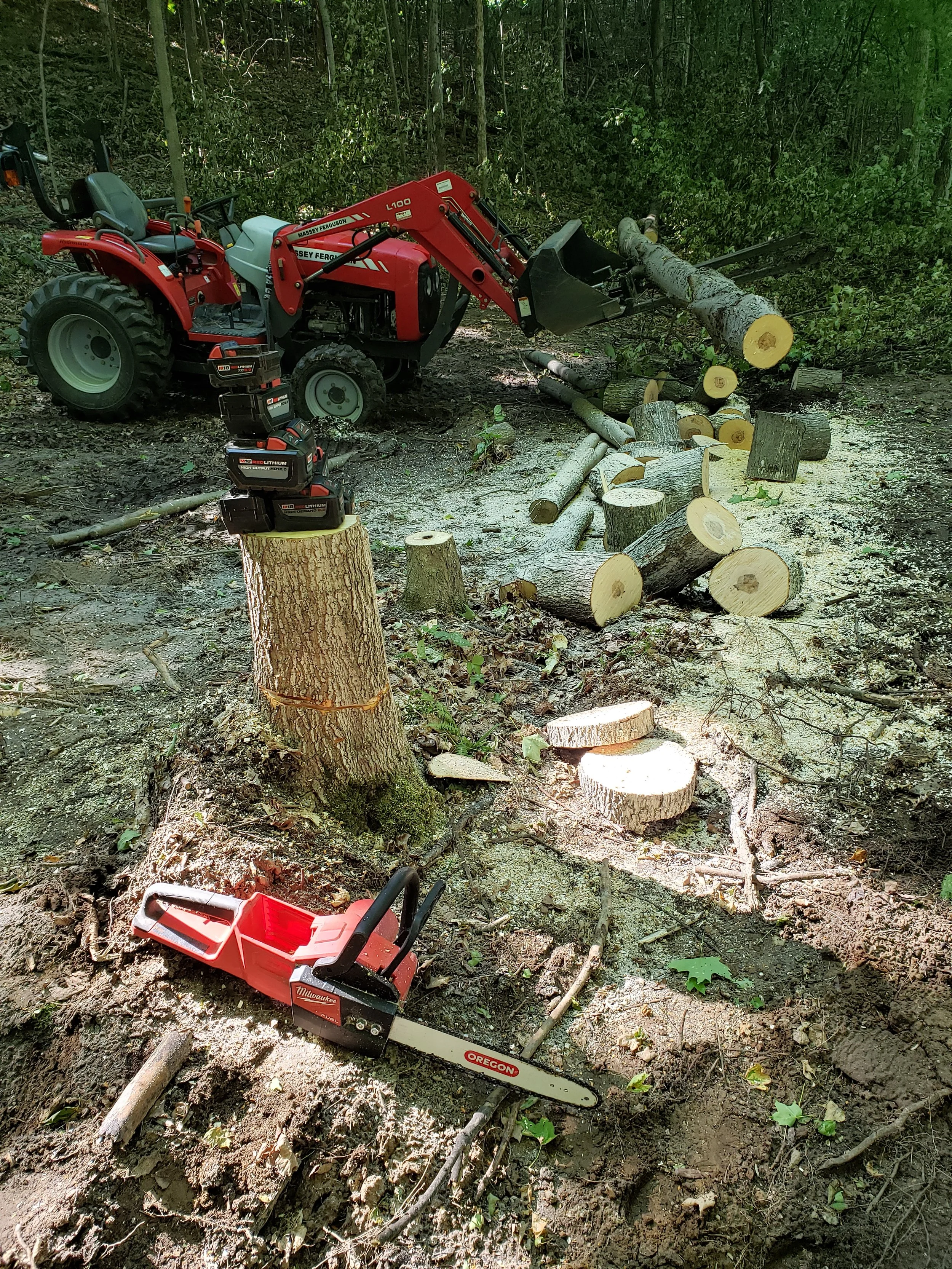 A red tractor with a front loader and a chainsaw on the ground in a wooded area, surrounded by logs and tree stumps.
