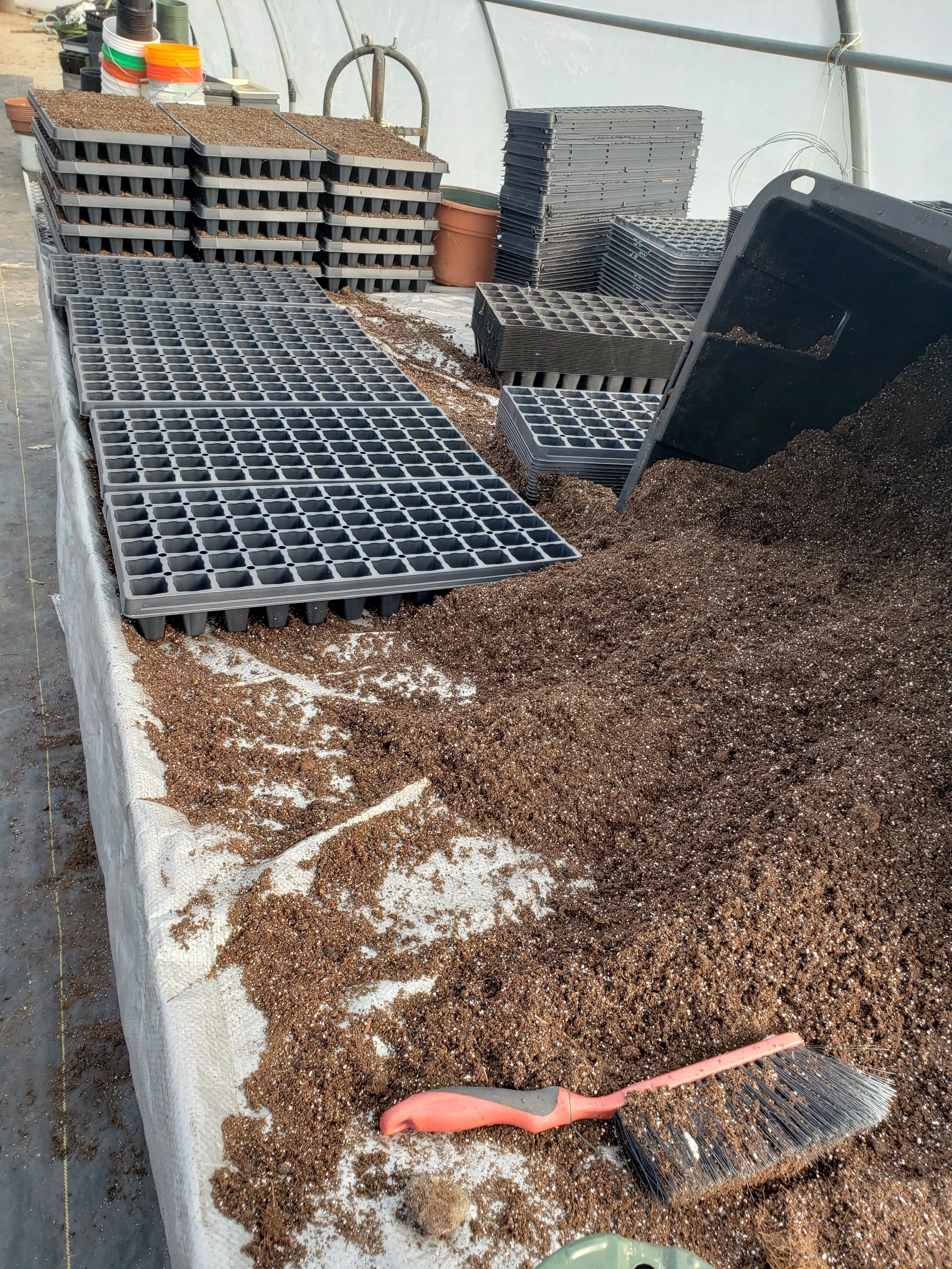 Potting soil and seed trays in a greenhouse.
