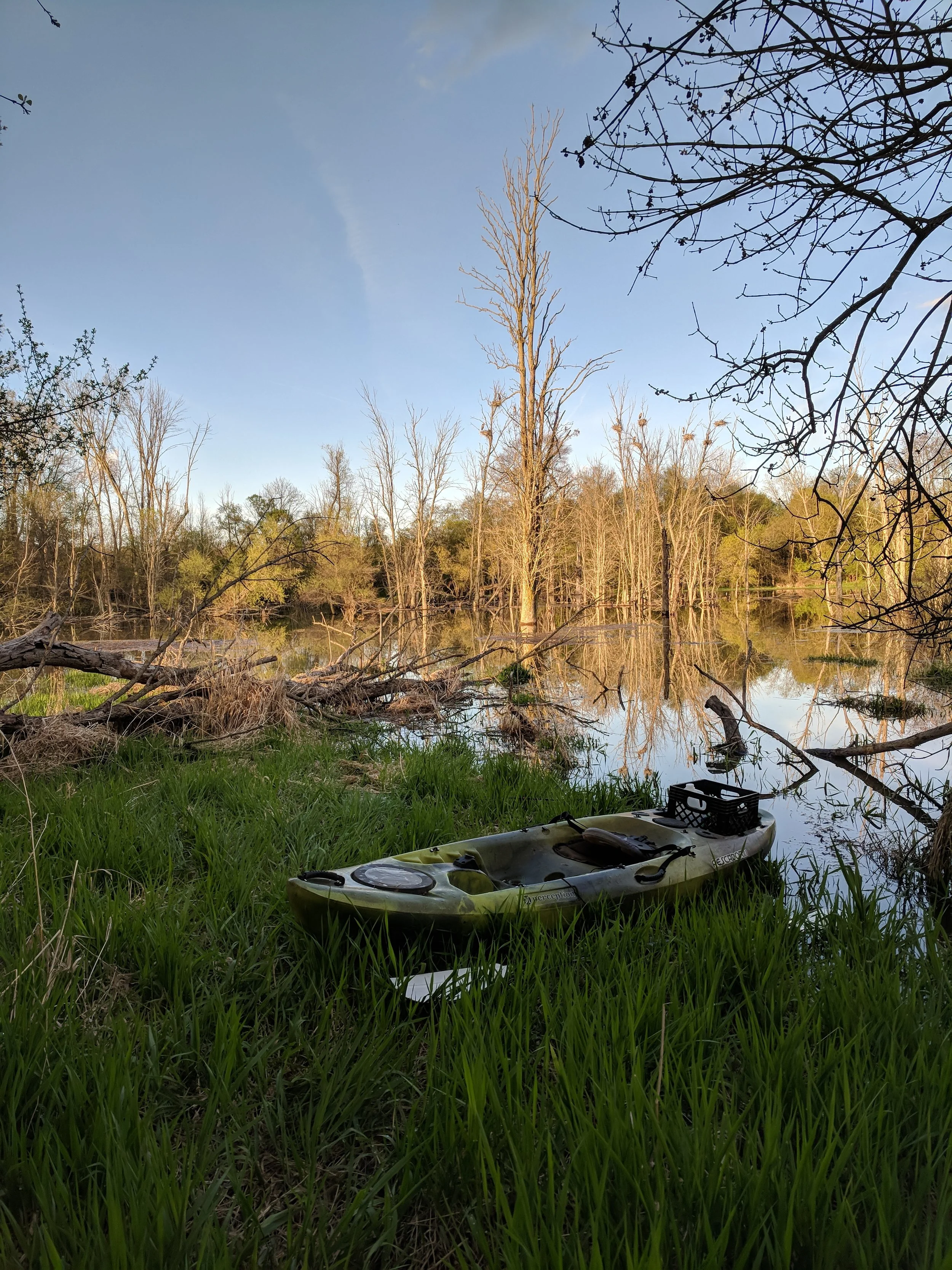 A green kayak on grassy bank near a pond with bare trees and clear sky.