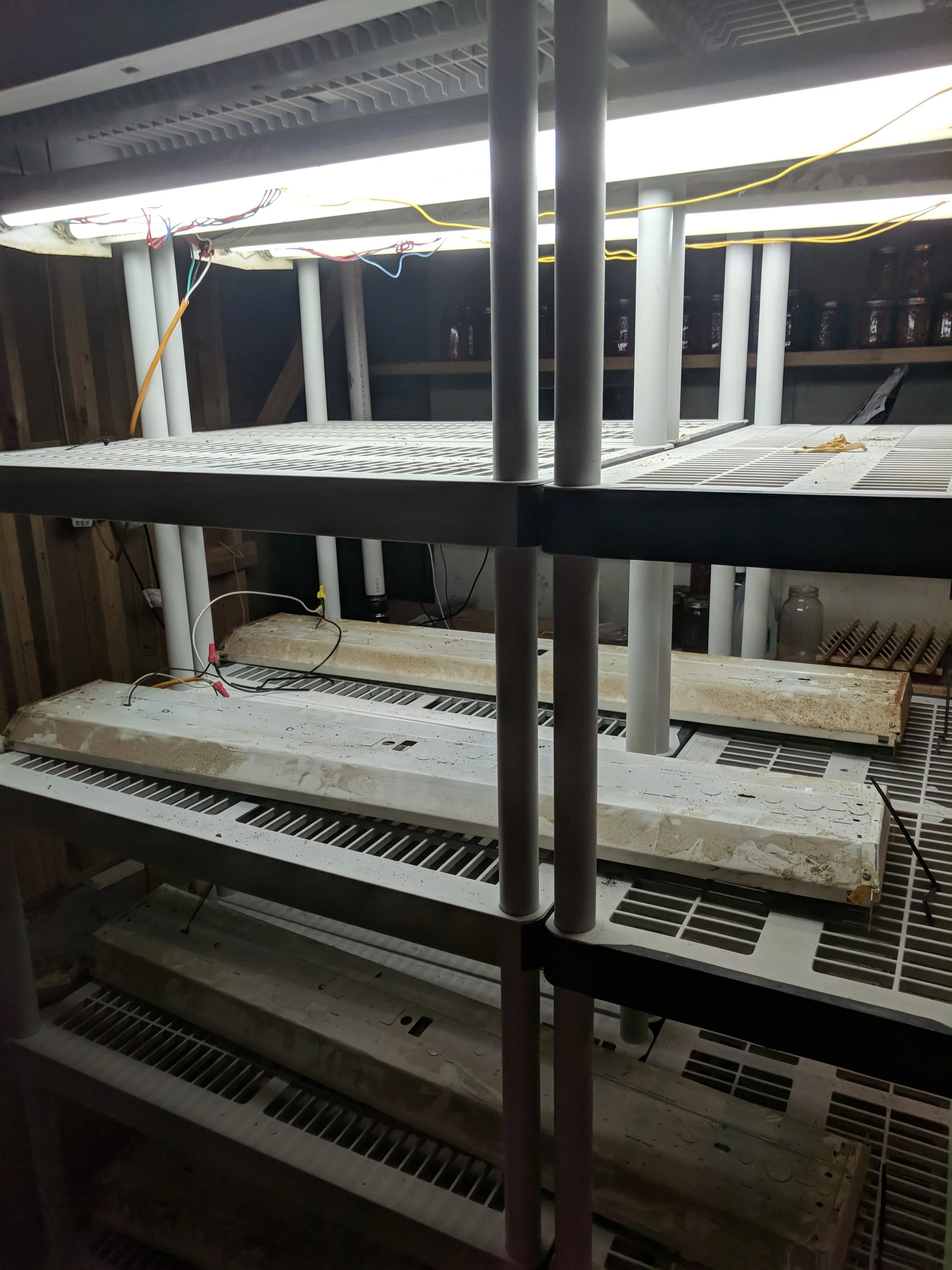Set of empty illuminated shelves in a wooden structure with wiring visible.