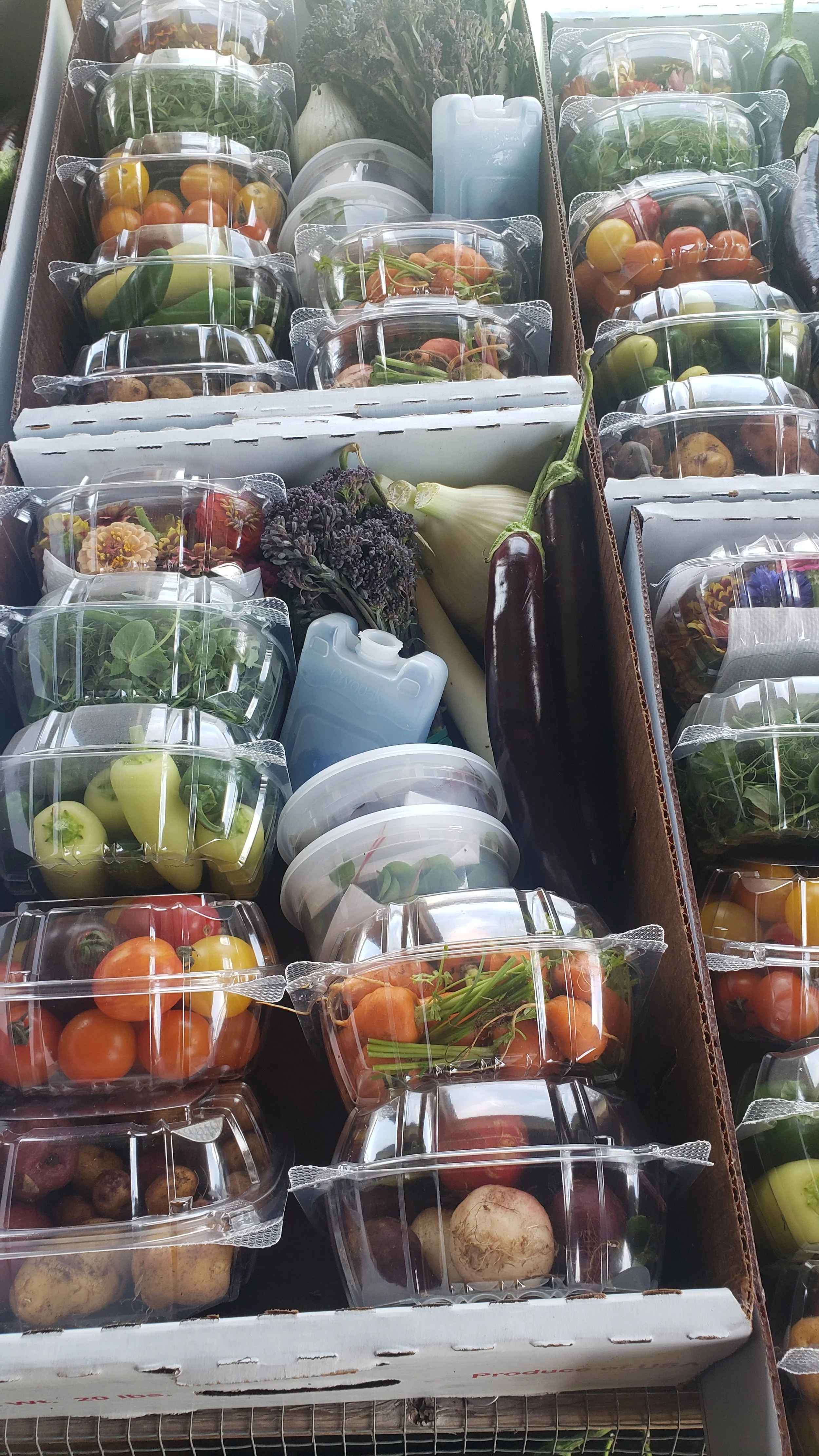 Assorted packaged fresh vegetables and herbs including cherry tomatoes, carrots, peppers, eggplants, greens, and root vegetables in transparent plastic containers.