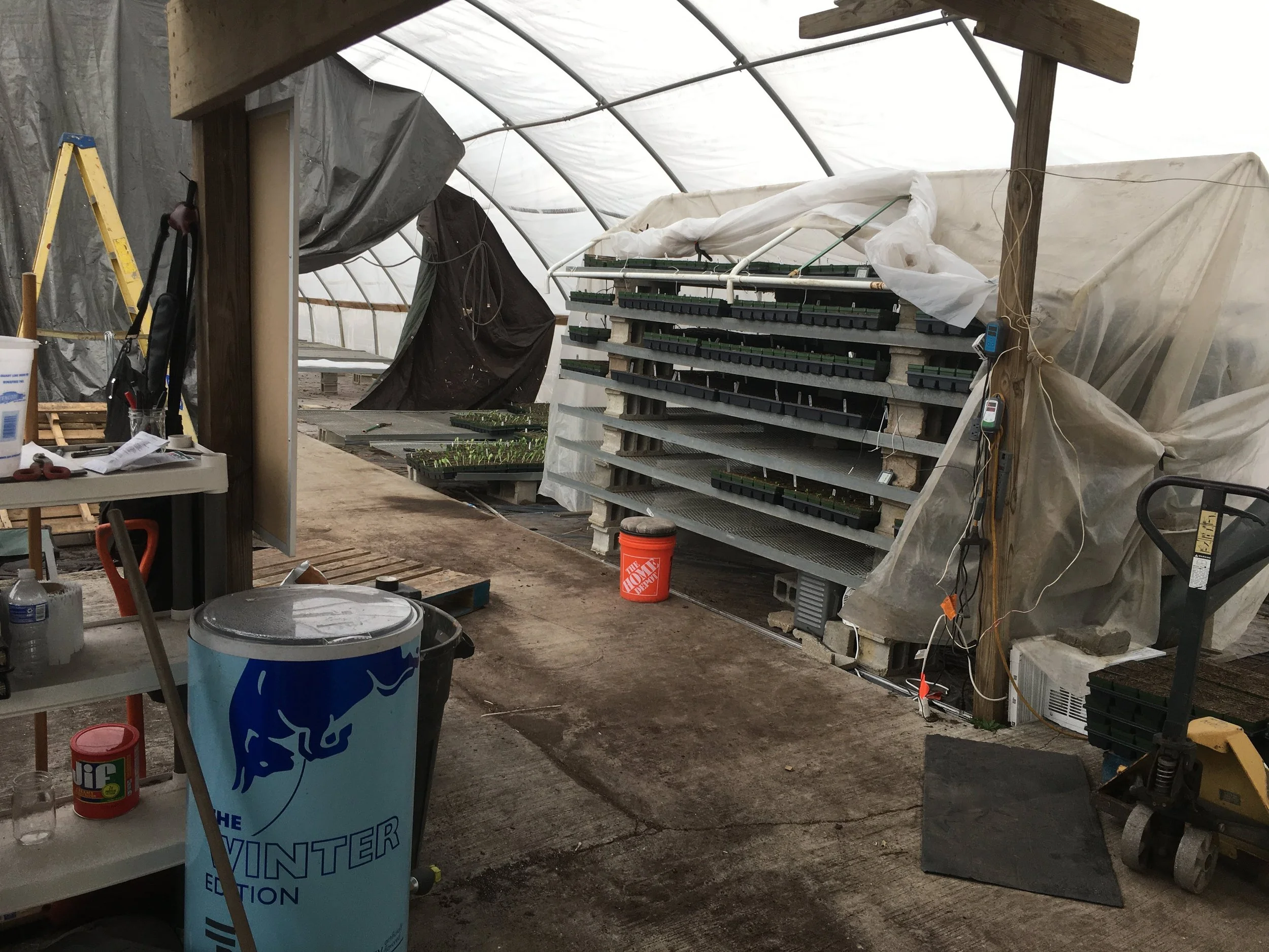 Interior of a greenhouse with a shelf of potted plants, tools, and materials. A plastic sheet covers part of the shelf, and a cart is nearby.