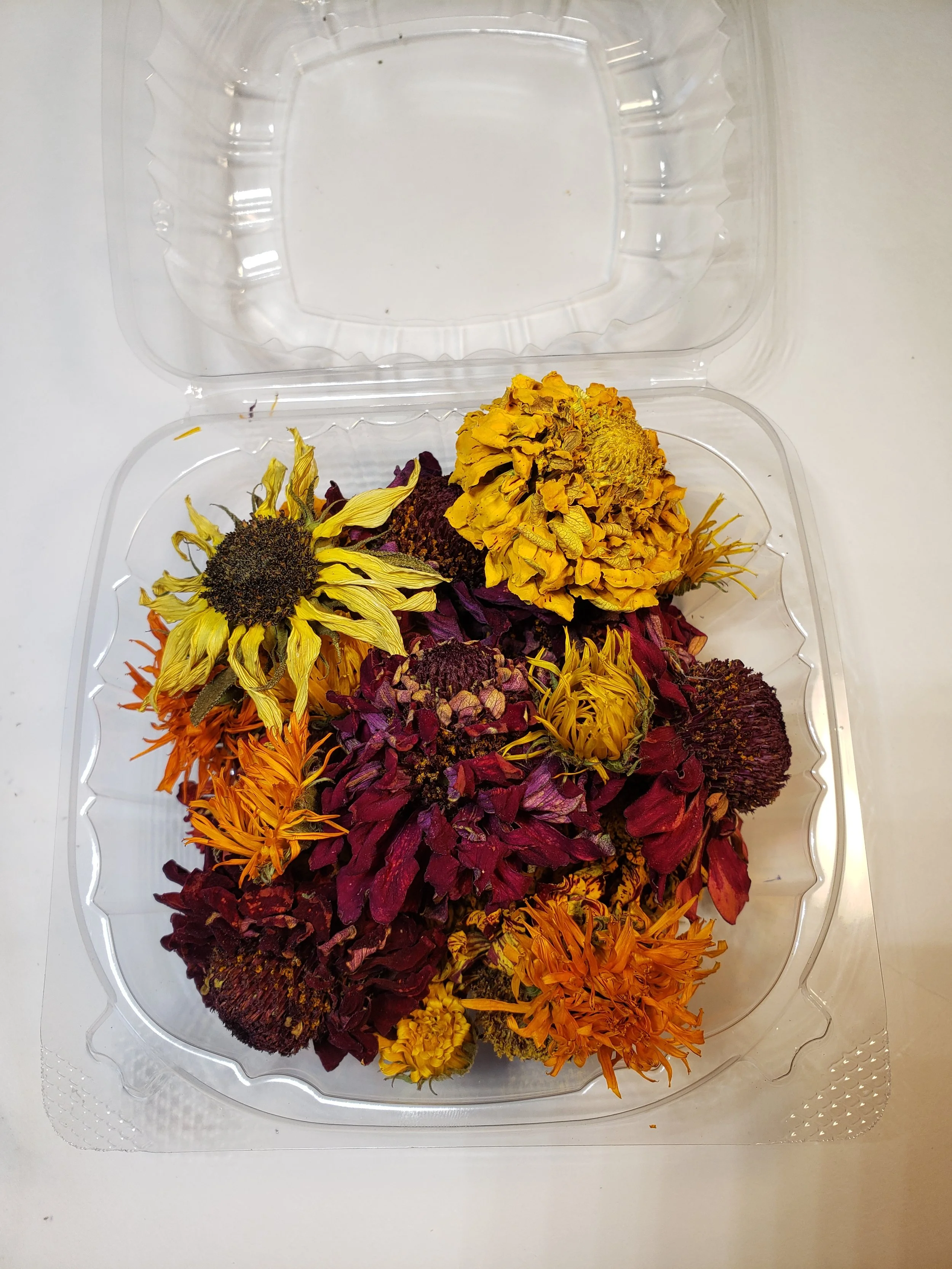 Assorted dried flowers in a clear plastic container with open lid.