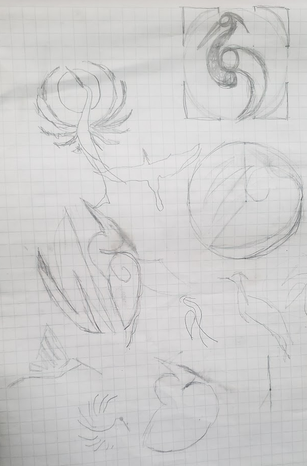 Pencil sketches of birds and abstract shapes on grid paper