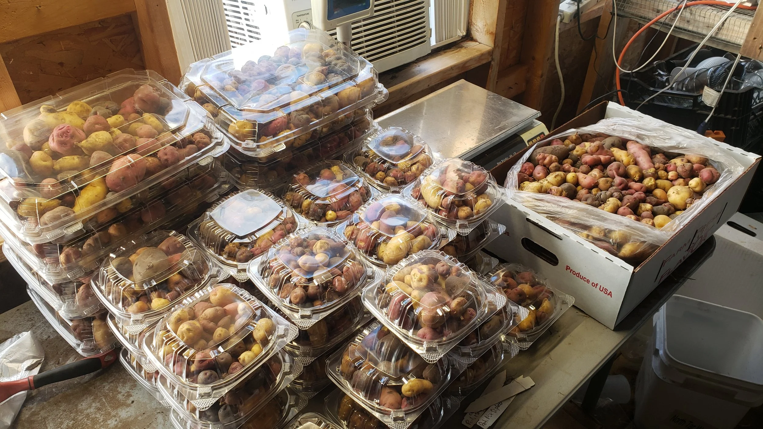 Assorted potatoes in plastic containers and a box on a table.