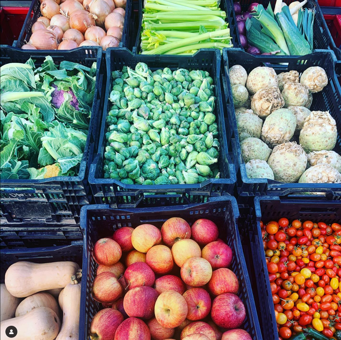 Assorted fresh produce including apples, Brussels sprouts, tomatoes, celery, leeks, onions, cabbage, celeriac, and butternut squash in black crates.