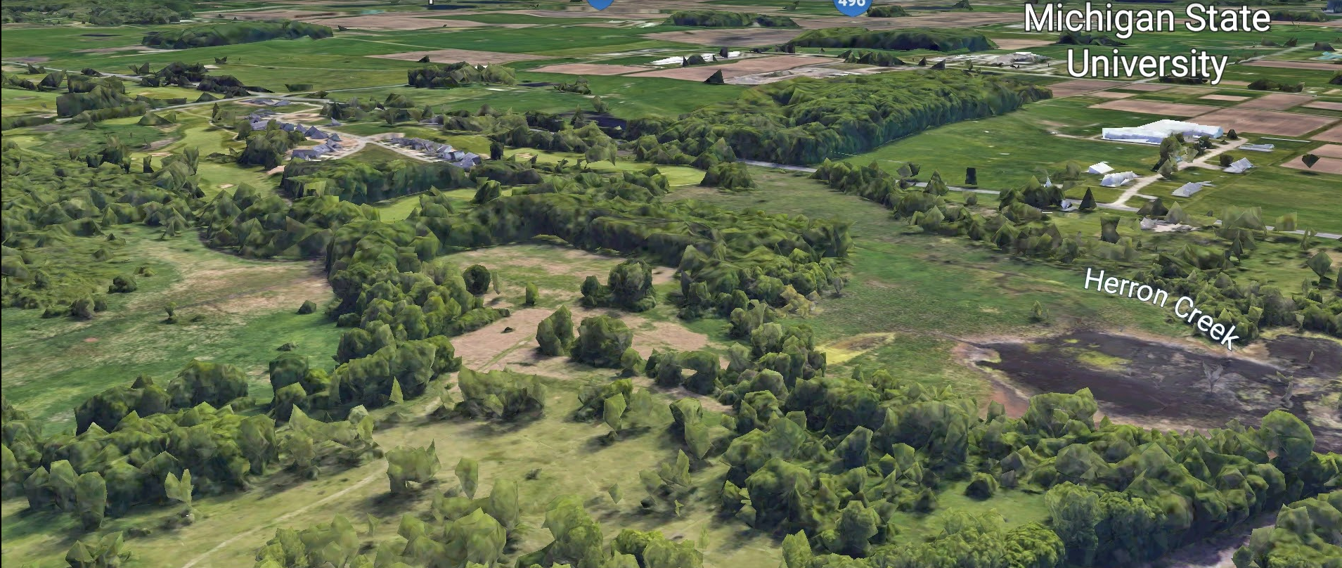 Satellite view of a rural landscape around Michigan State University, featuring fields, trees, and Herron Creek.
