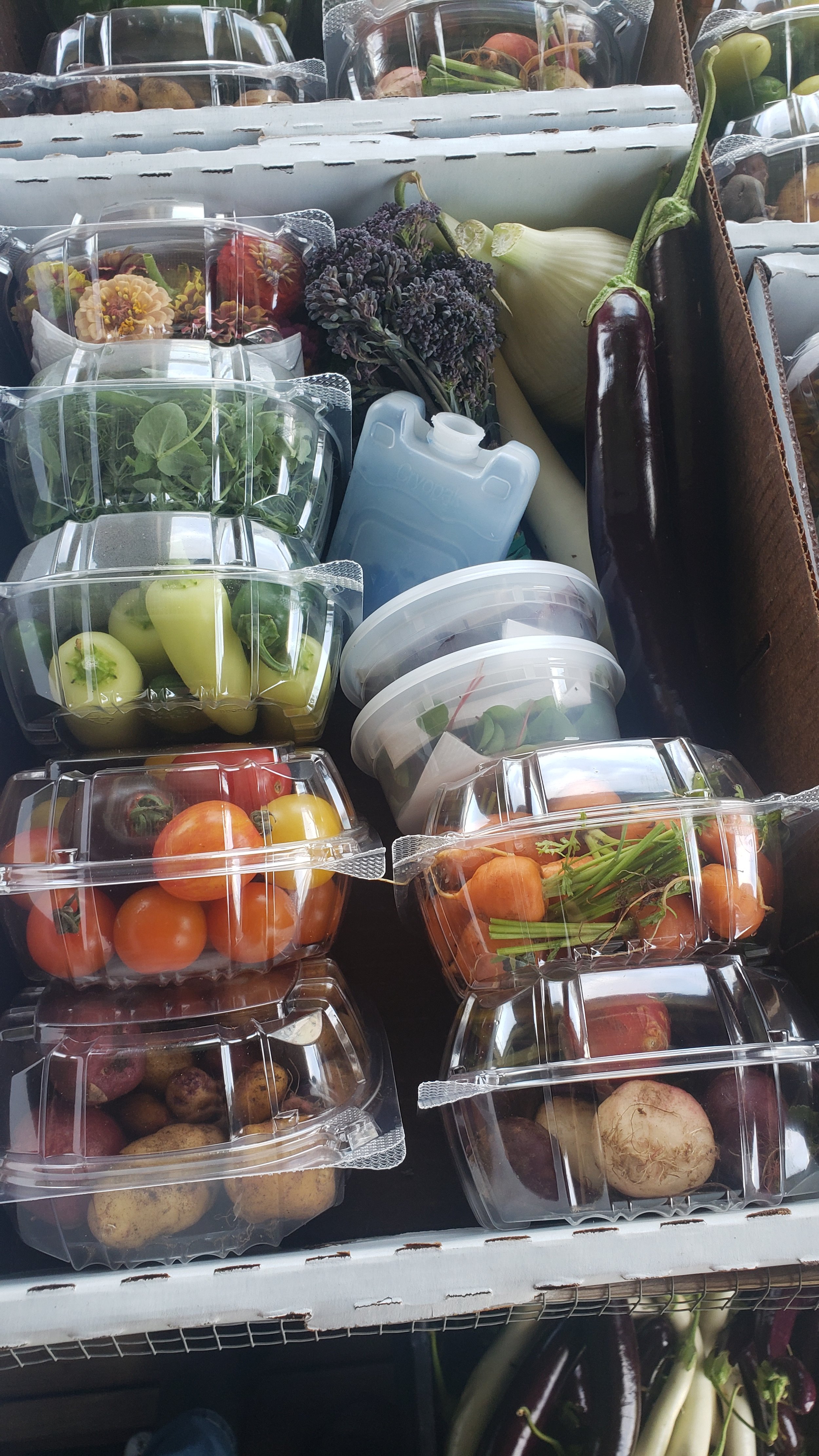Assorted fresh vegetables and herbs in plastic containers, including tomatoes, carrots, potatoes, eggplant, and leafy greens, displayed in a box.