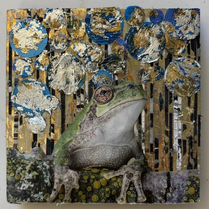 When Frogs Dream