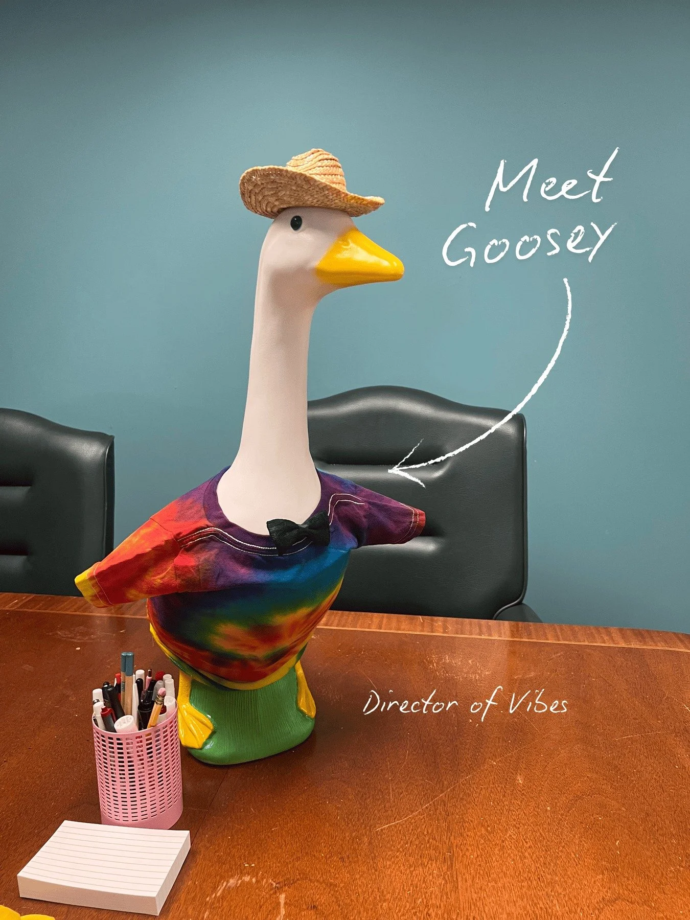 You may have noticed a face around the office...Goosey in the Sky With Diamonds, Goosey for short. 
She brings the fowl fun and knows how to shake a tail feather. Goosey is in charge of Vibes and office morale. 

Everybody, welcome Goosey to the team