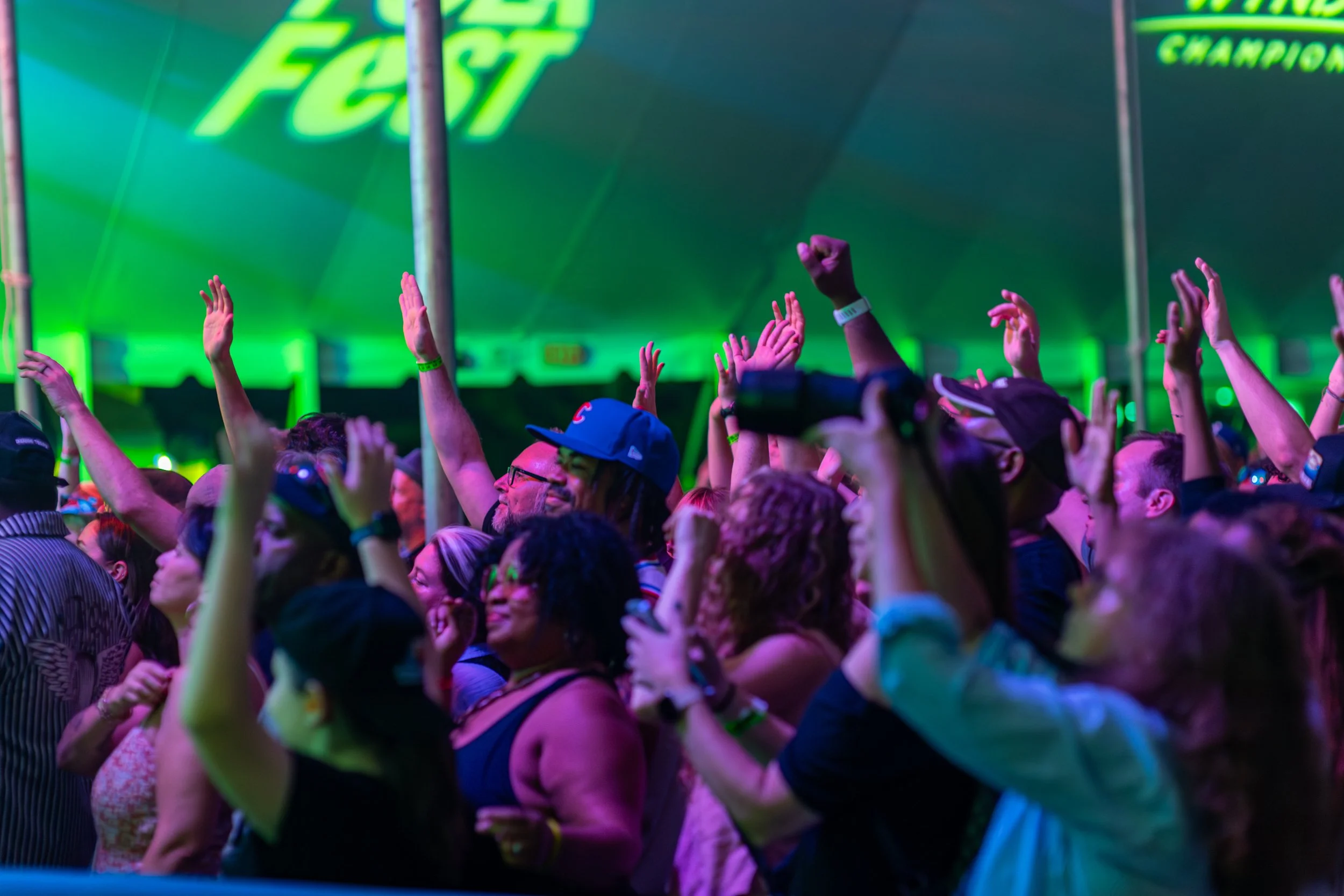 a crowd of music lovers at the nc folk festival