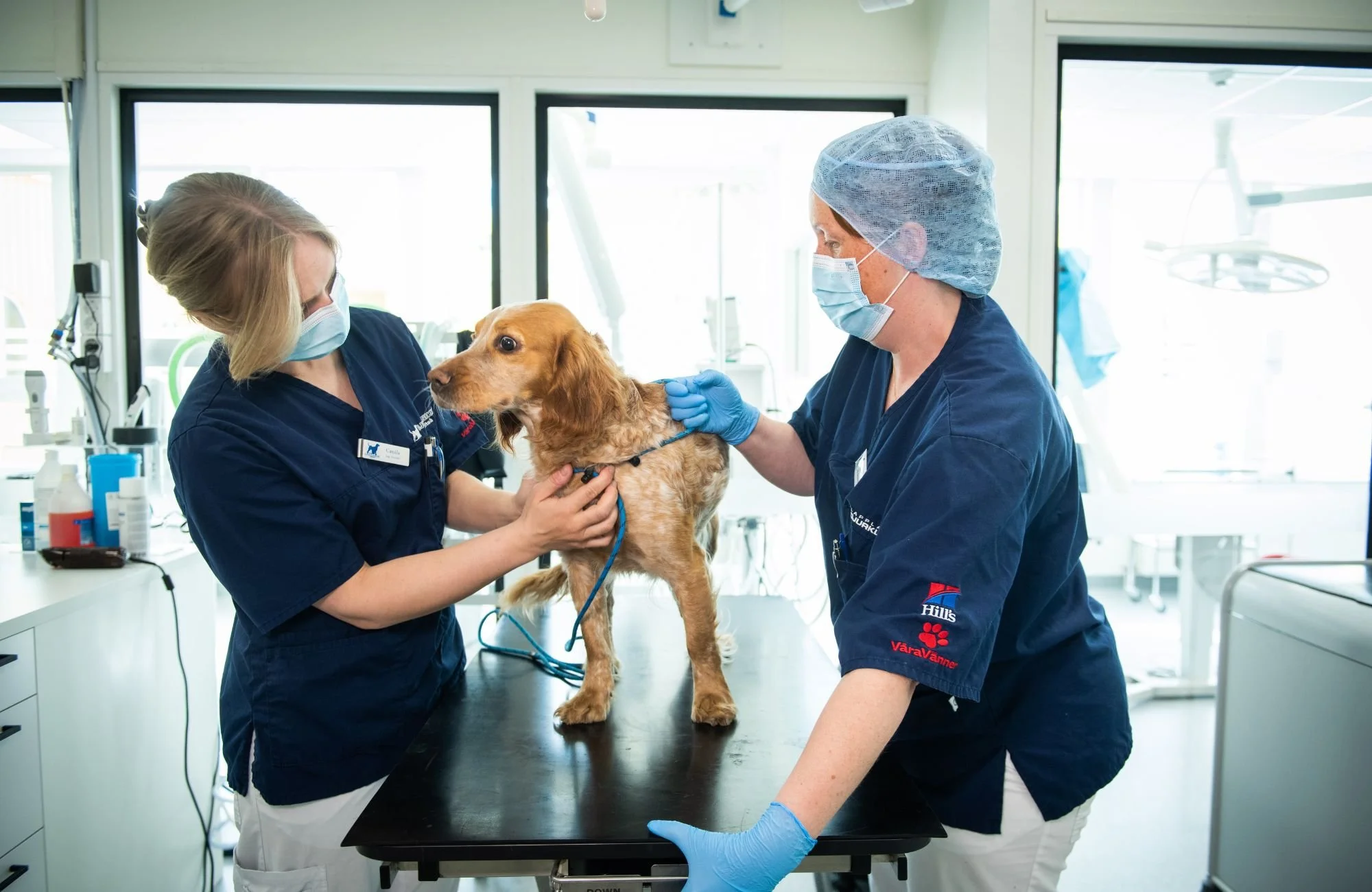 Lapplandsdjurklinik 3.jpg