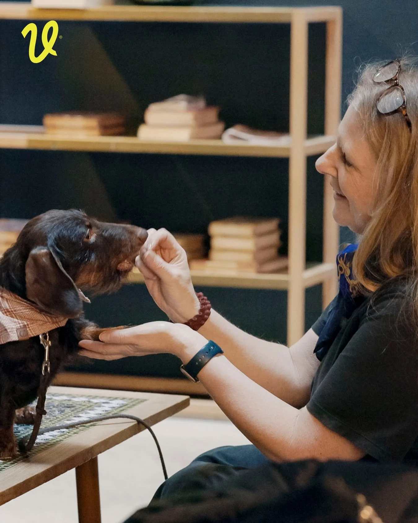 Just nu har vi m&aring;nga nya uppdrag i hela landet. Vill du jobba som konsult med anst&auml;llning hos oss? Eller &ouml;nskar du bli rekryterad till v&aring;r kund? Hos oss finns b&aring;da m&ouml;jligheterna.

Vi s&ouml;ker djursjuksk&ouml;tare me