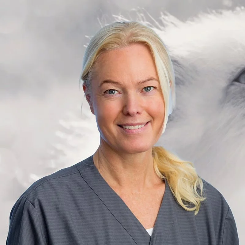 Anfall - är det alltid epilepsi? med Cecilia Rohdin