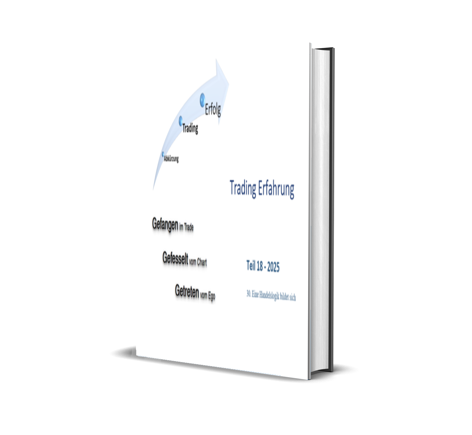 Buchcover mit dem Titel "Trading Erfahrung" und einer Übersicht über Trading-Lektionen, einschließlich Abkürzung, Trading, Erfolg, mit Untertiteln "Teil 18 - 2025" und "30. Eine Handelssystem bildet sich".