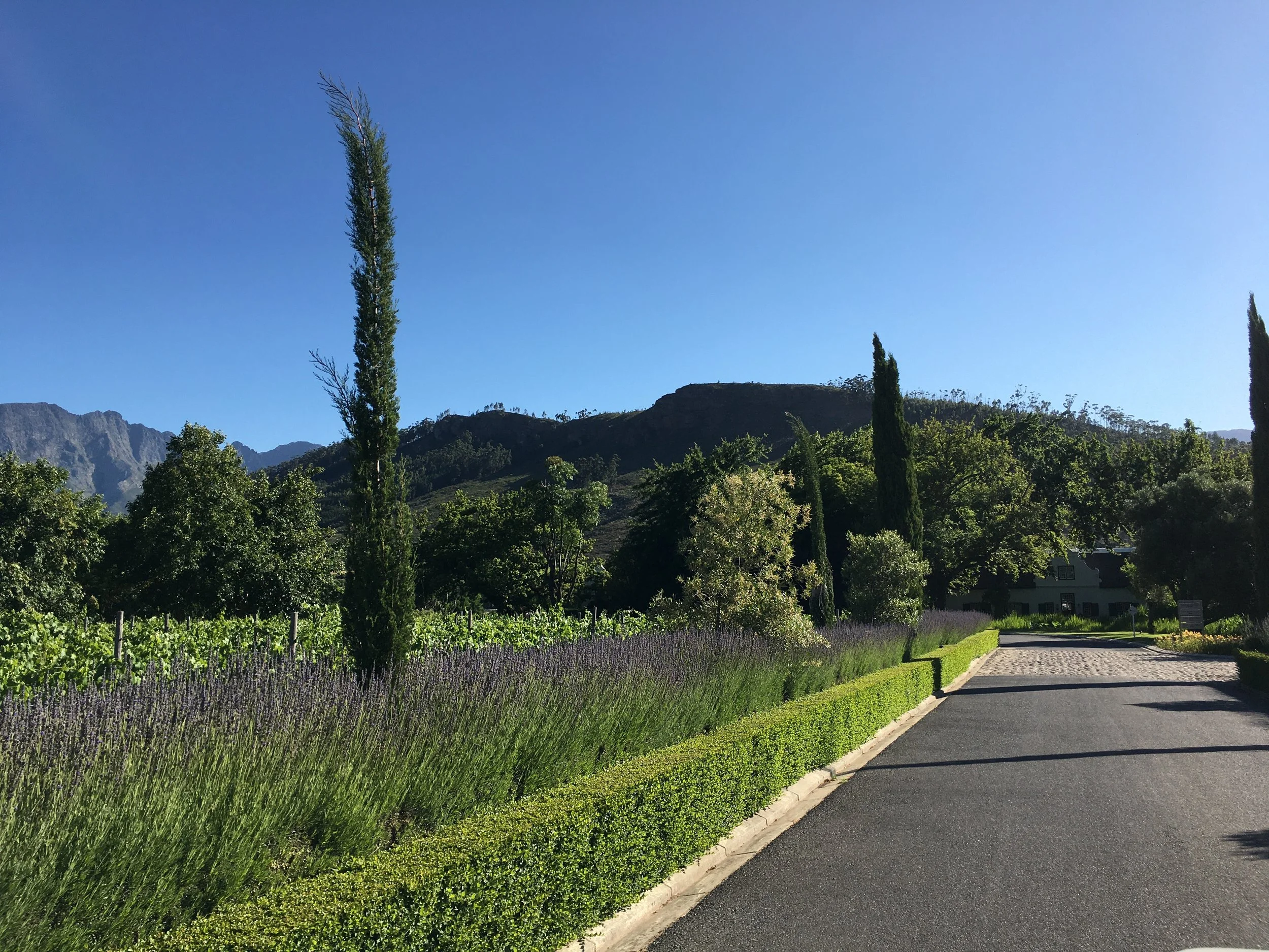 Franschhoek en Stellenbosch