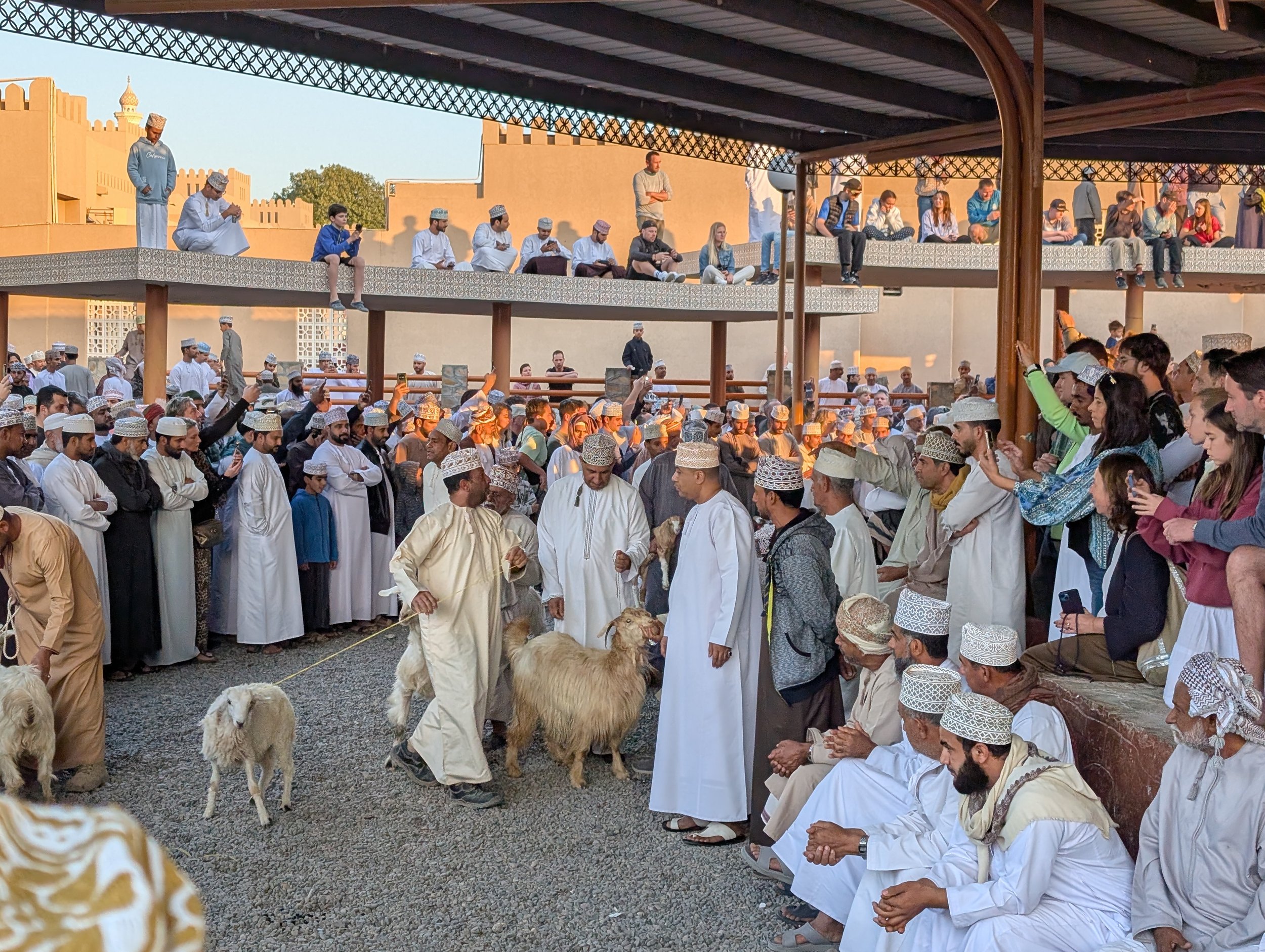 Geitenmarkt in Nizwa