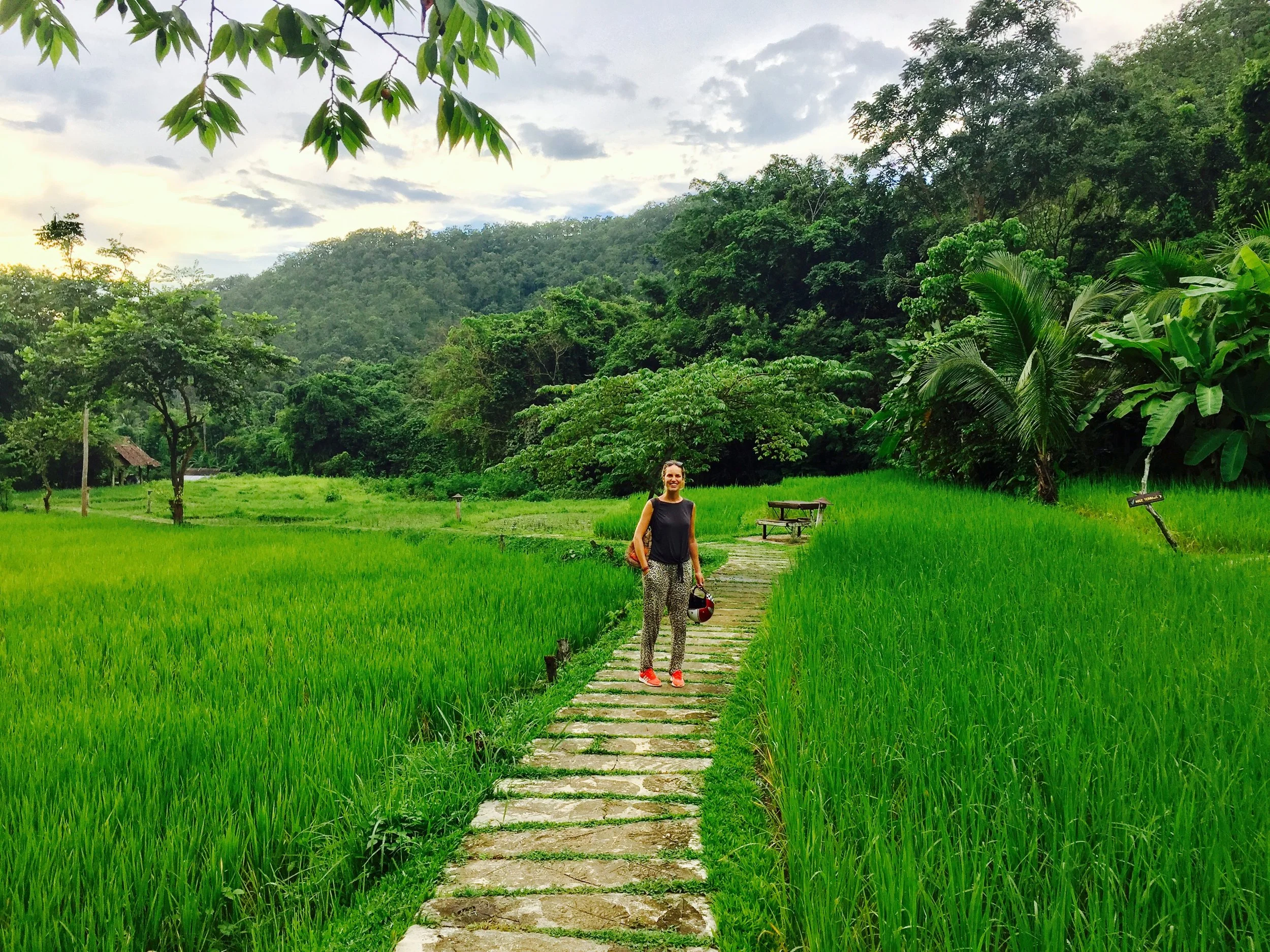 Rijstvelden in noord Thailand